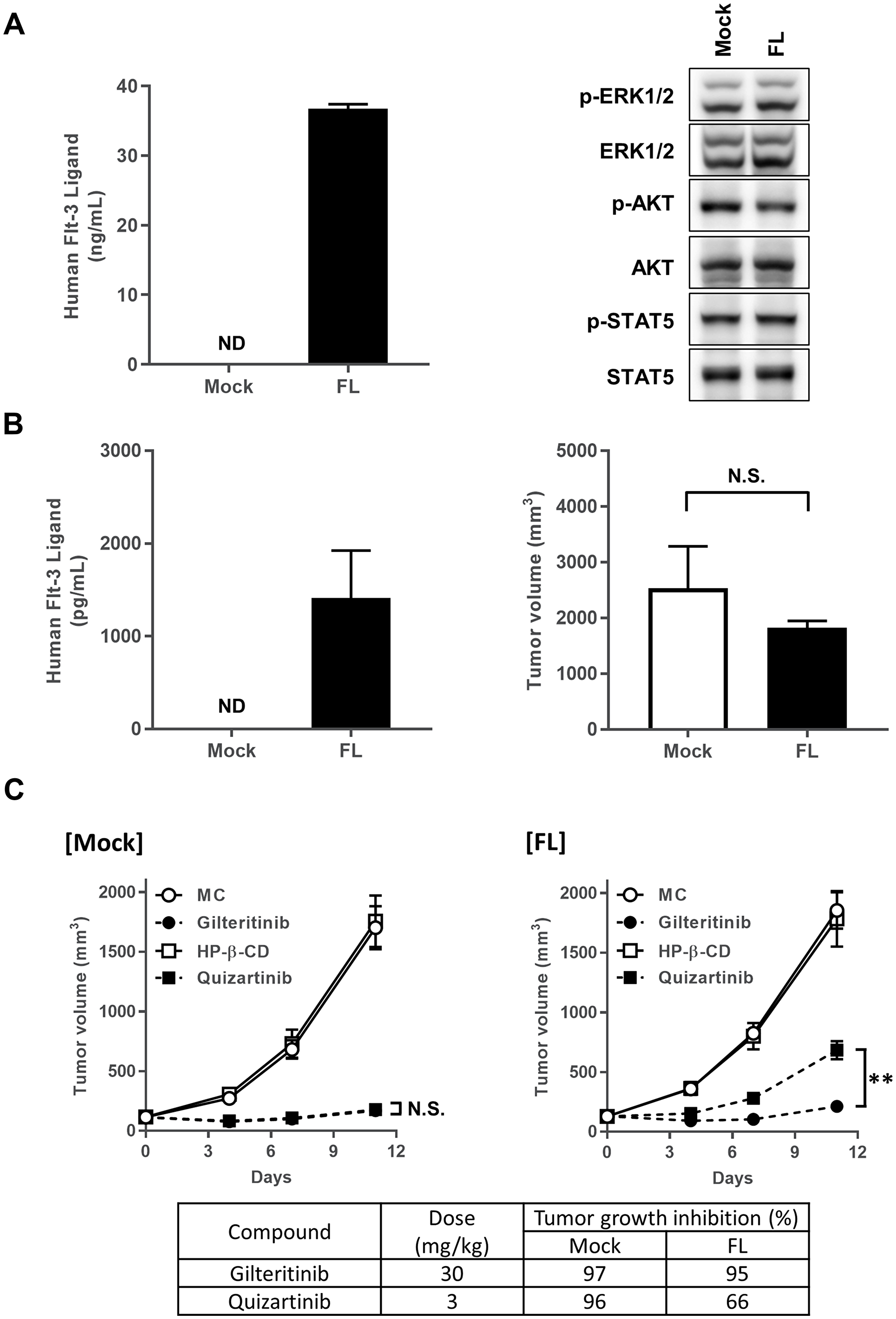 Antitumor efficacy of gilteritinib and quizartinib