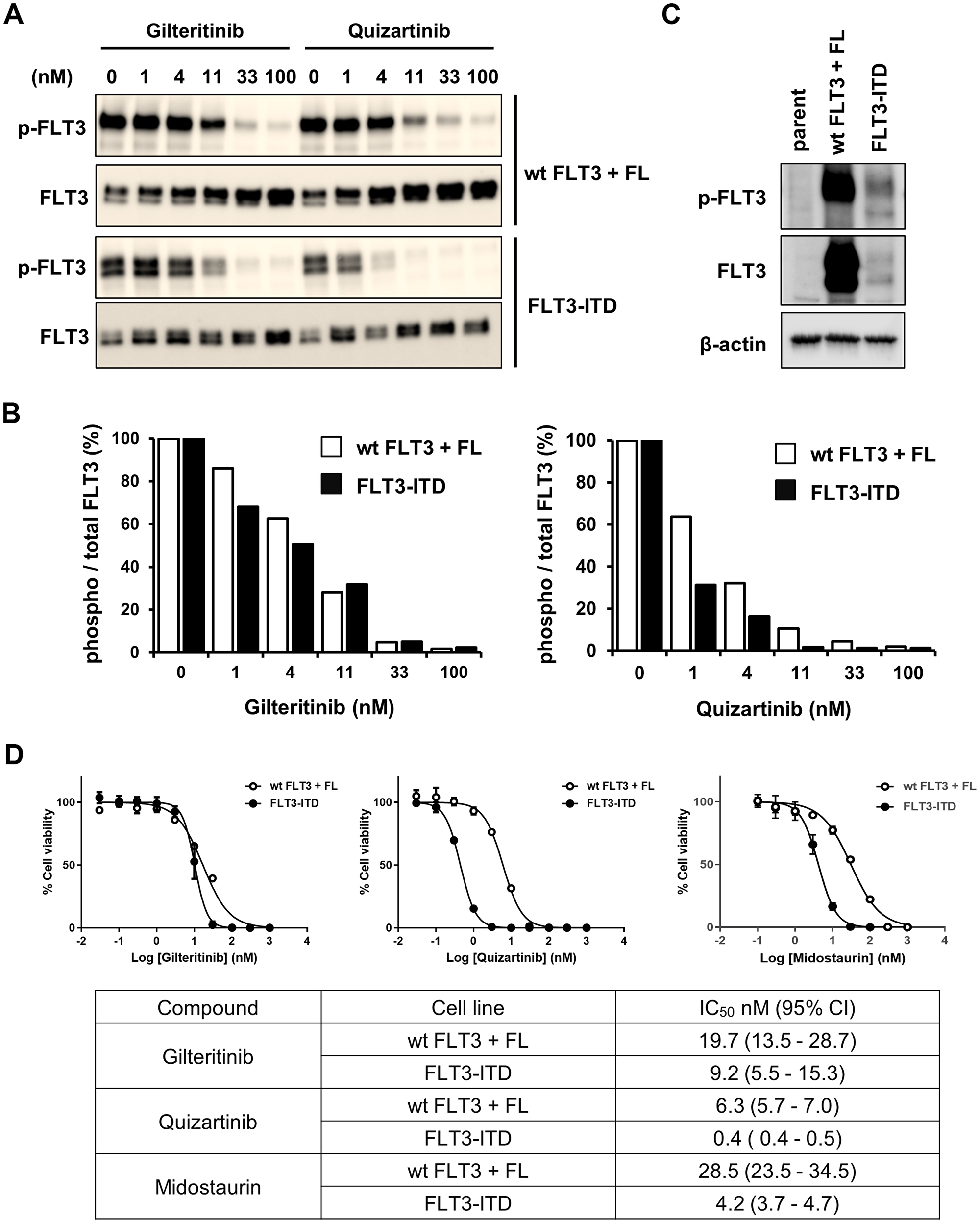 Inhibitory effects of gilteritinib and quizartinib on FLT3wt and FLT3-ITD