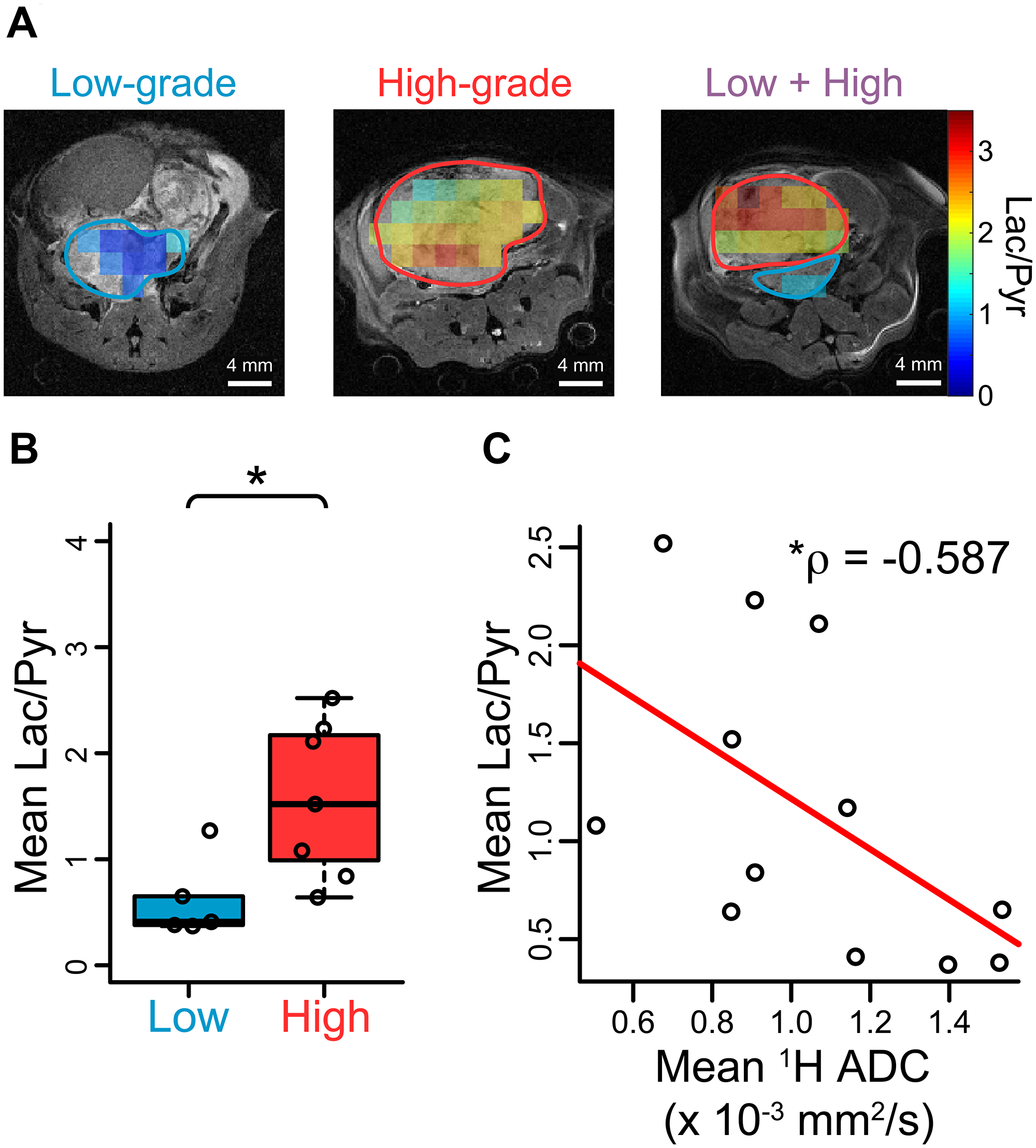 Hyperpolarized [1-13C] pyruvate imaging in TRAMP mice confirms glycolytic differences between low- and high-grade cancers
