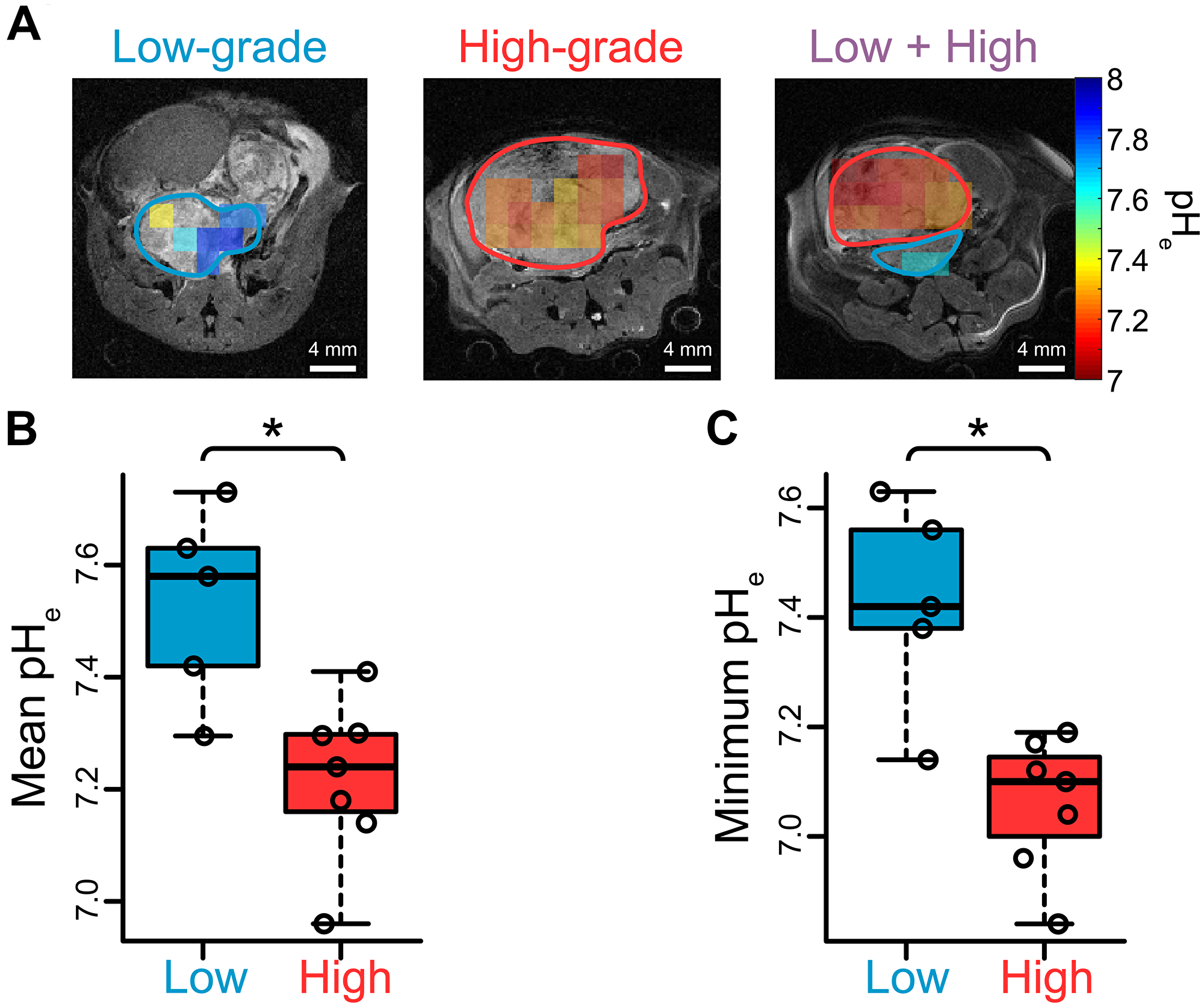 Extracellular pH measurements in TRAMP tumors via hyperpolarized [13C] bicarbonate imaging suggest extracellular acidification is associated with high-grade disease