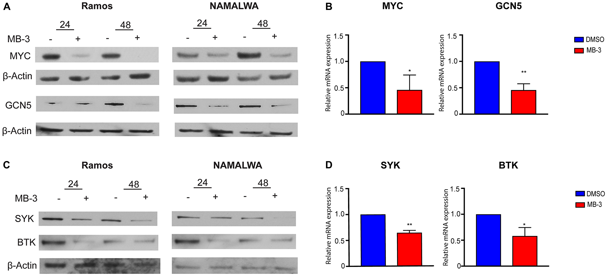 MYC target genes downregulated upon inhibition of GCN5/PCAF HAT activity