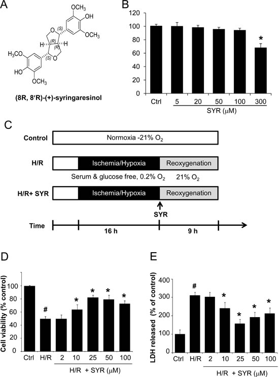 fig1