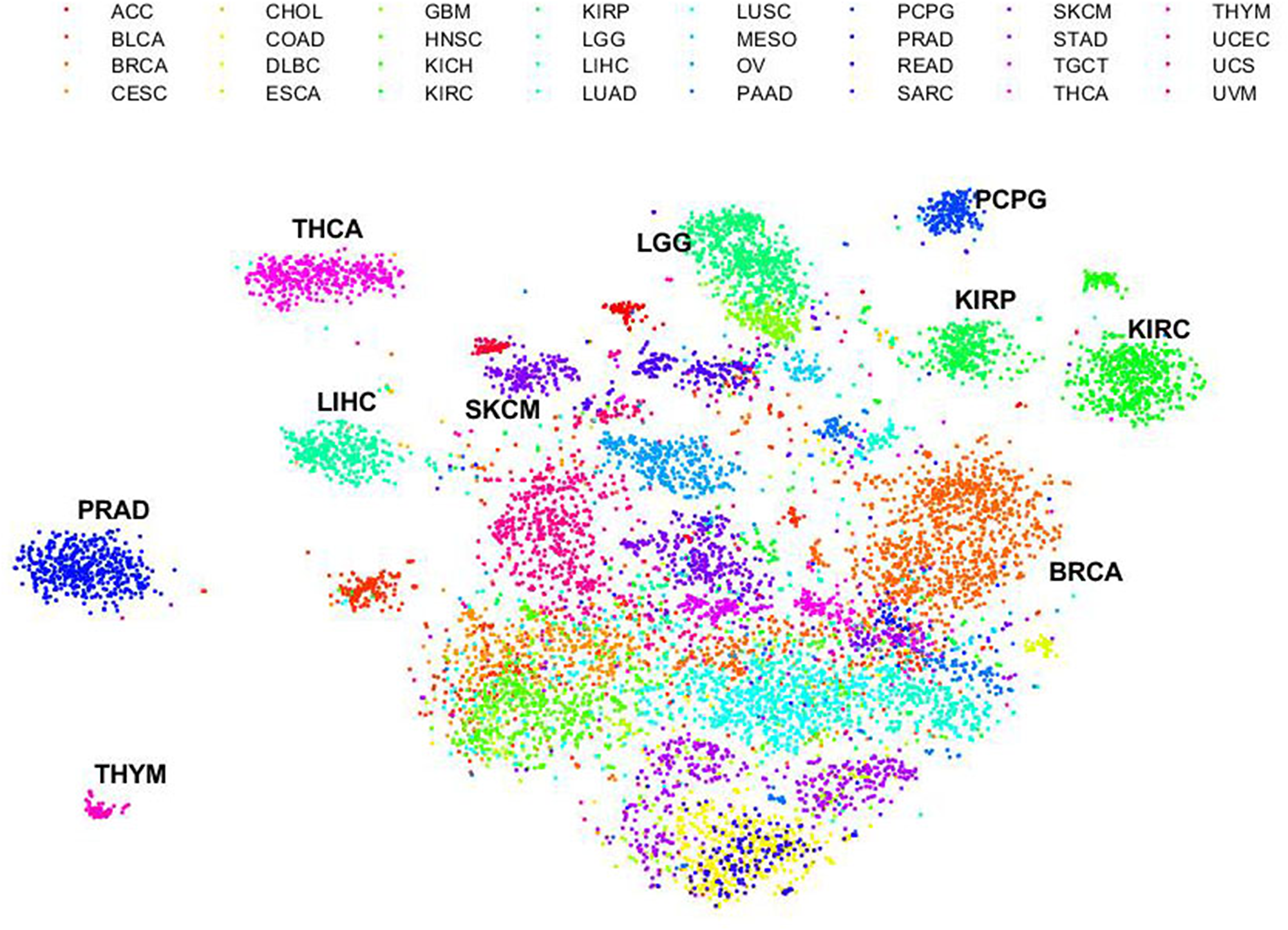 Dissimilarity of immune gene expression profiling across human cancers