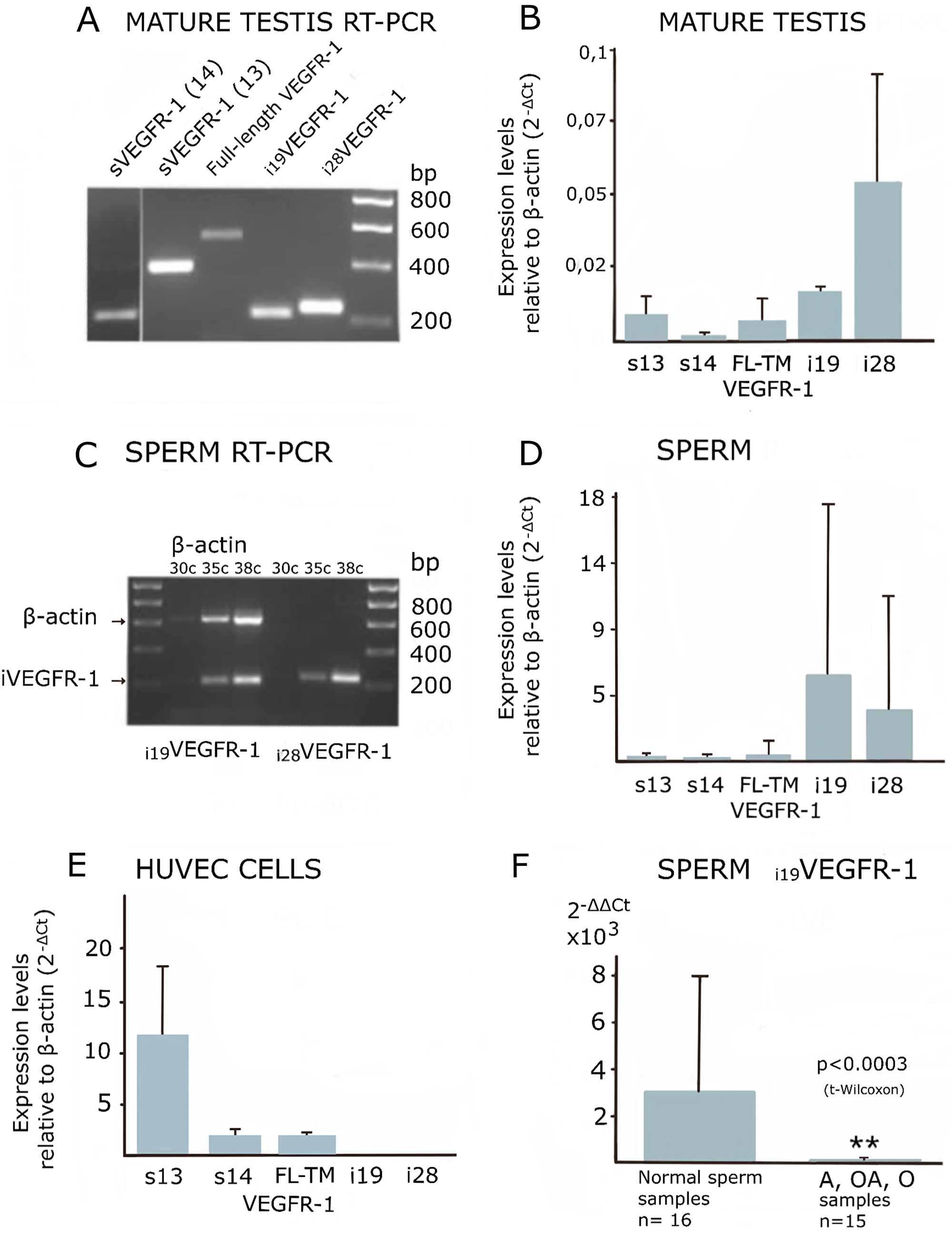 Expression of VEGFR-1 variants analyzed by manual, semi-quantitative and real-time PCR