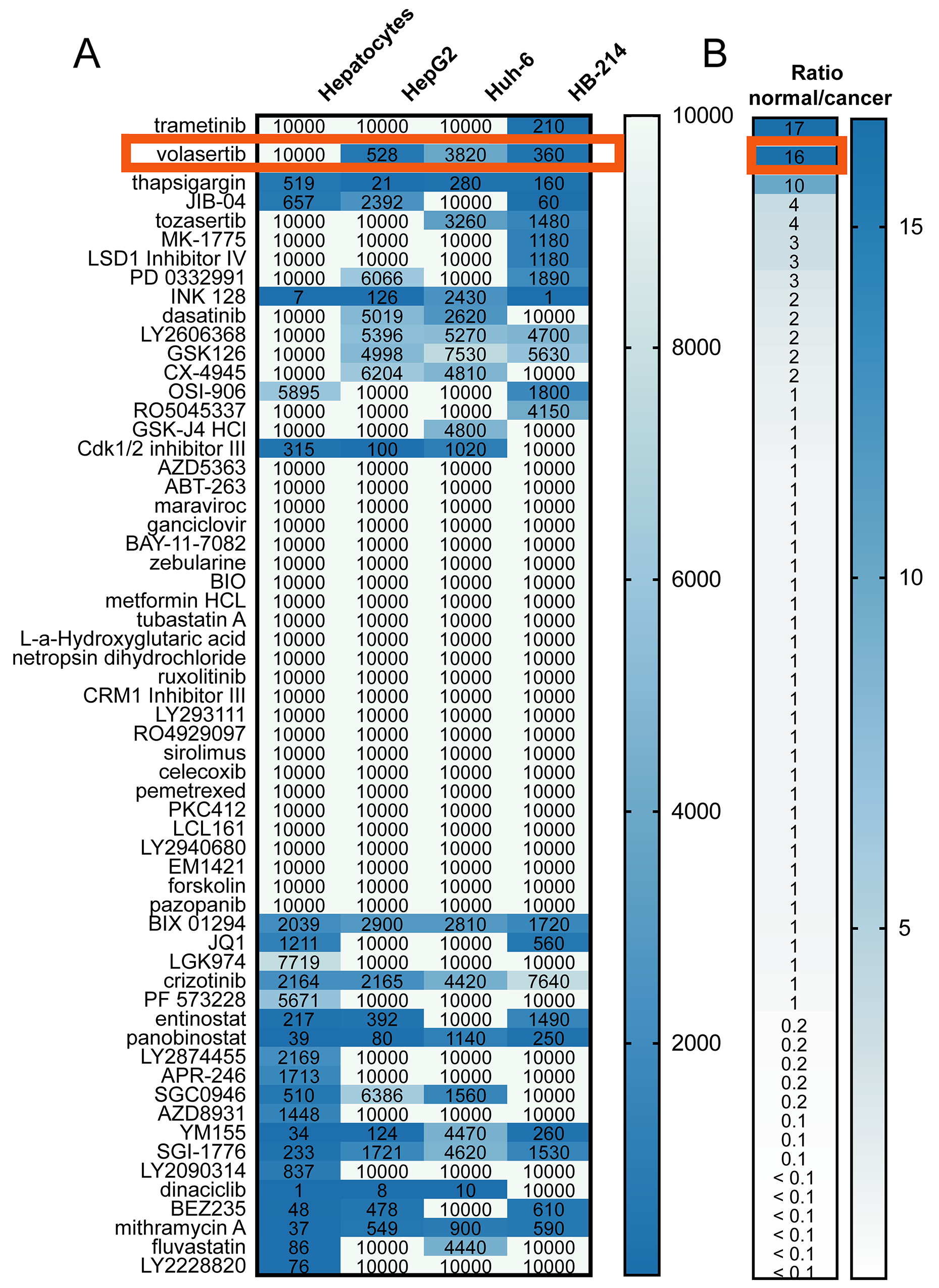 A 60-agent chemical screen of hepatoblastoma cell lines and hepatocytes identifies an (A) absolute IC50 (nM) value for each cell line and drug. A value of 10,000 indicates that the drug did not inhibit viability. (B) Average ratio of the IC50 in hepatocytes to the IC50 in hepatoblastoma cell lines.