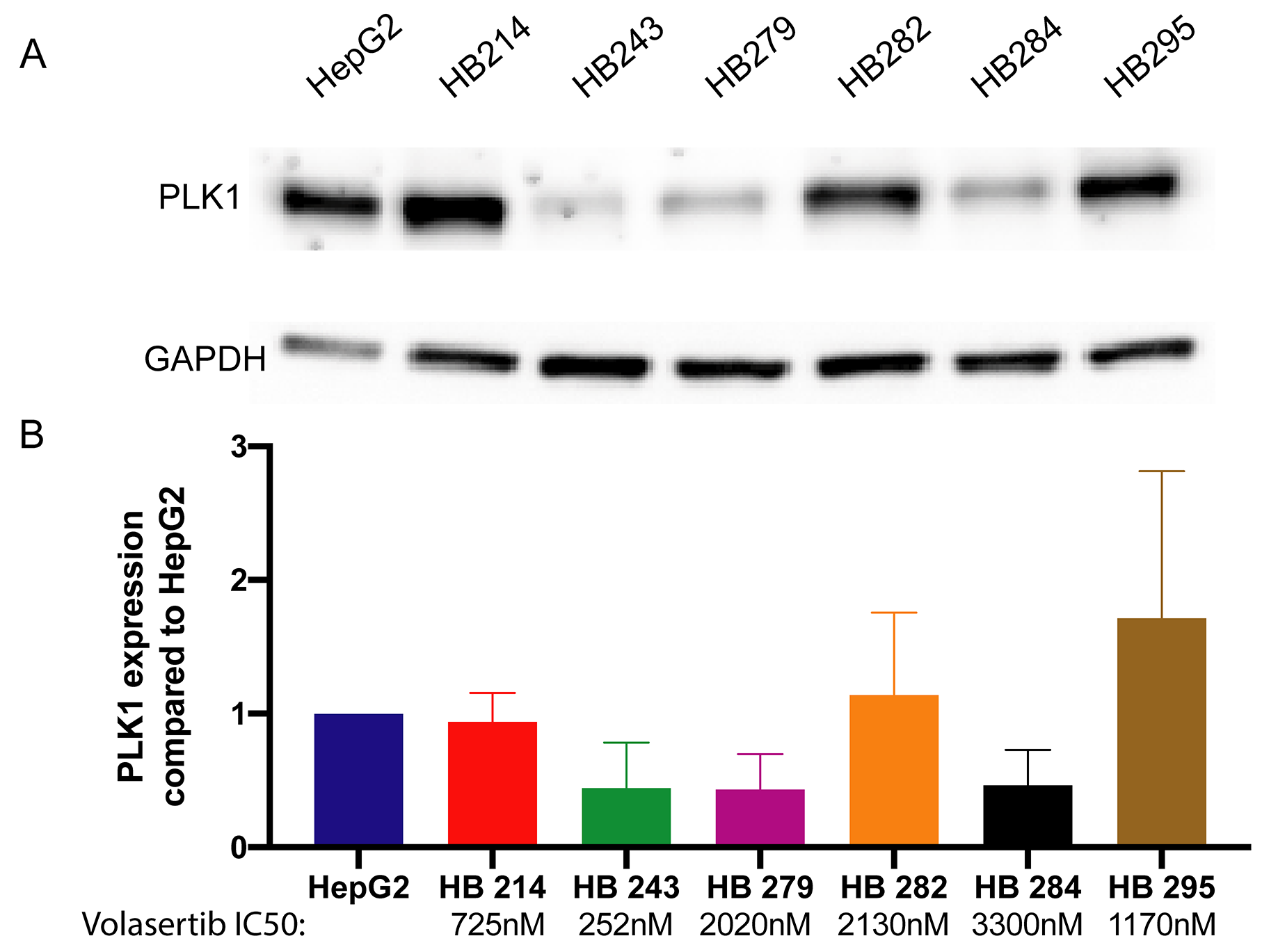 Hepatoblastoma cell lines express varied amounts of PLK1