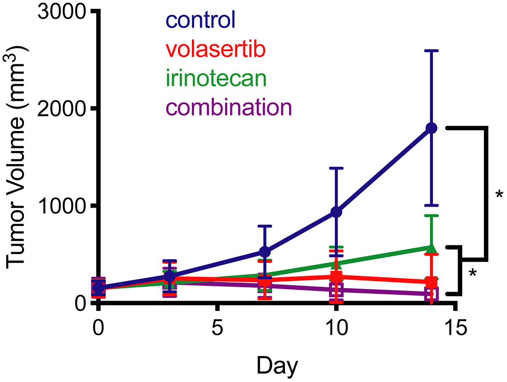 Xenograft studies of irinotecan and volasertib