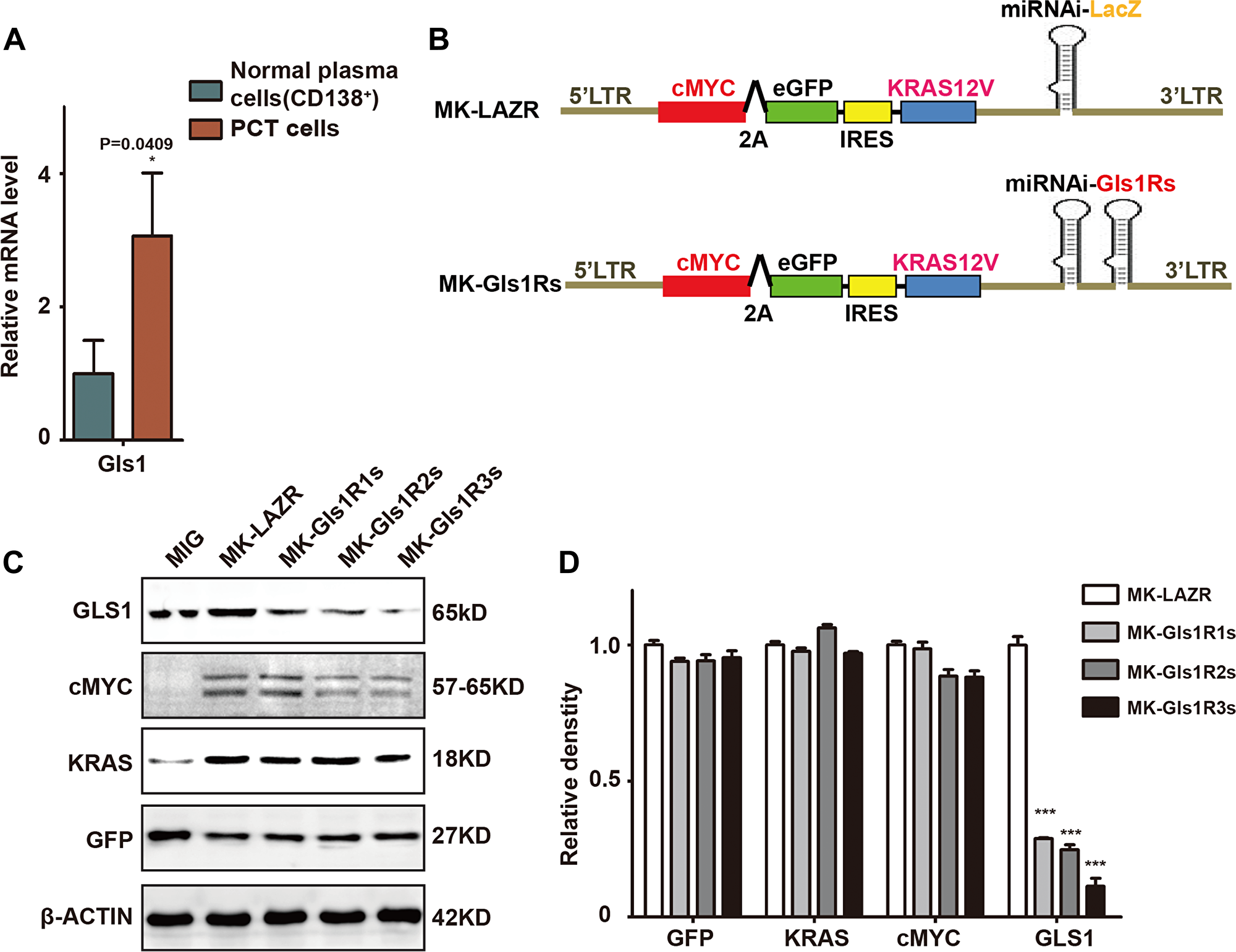 GLS1 was required for cMYC/kRAS12V transforming BaF3 cells independent of IL3