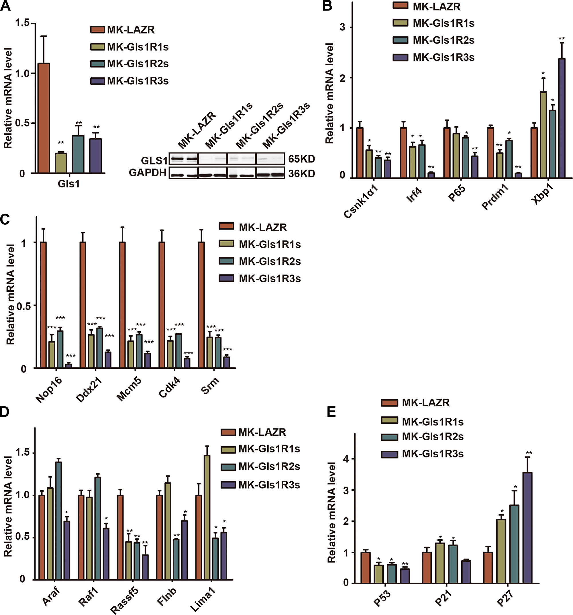 Down-regulation of Gls1 in PCT cells impaired signaling pathways important for MM survival