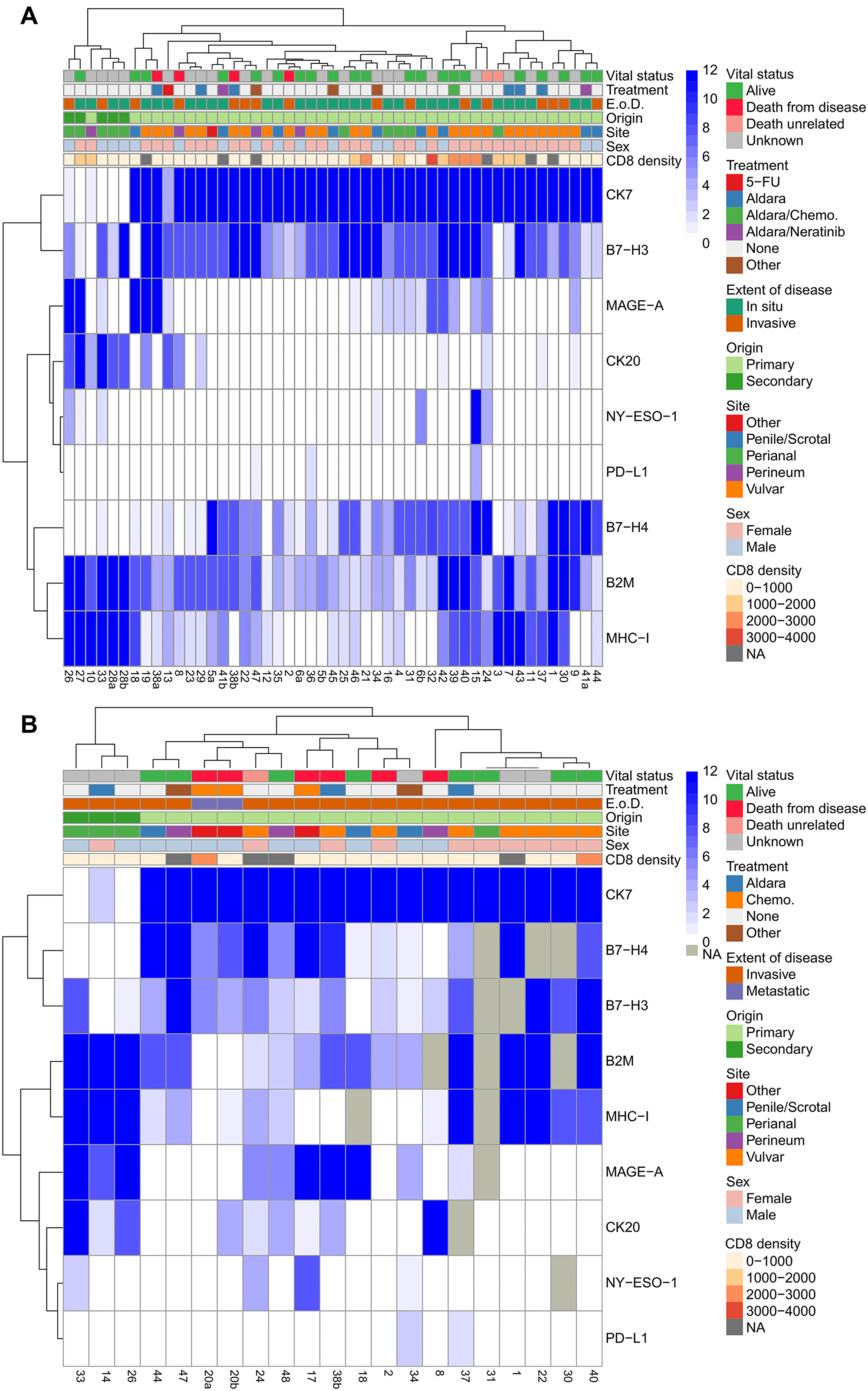 Hierarchical clustering of in situ and invasive EMPD