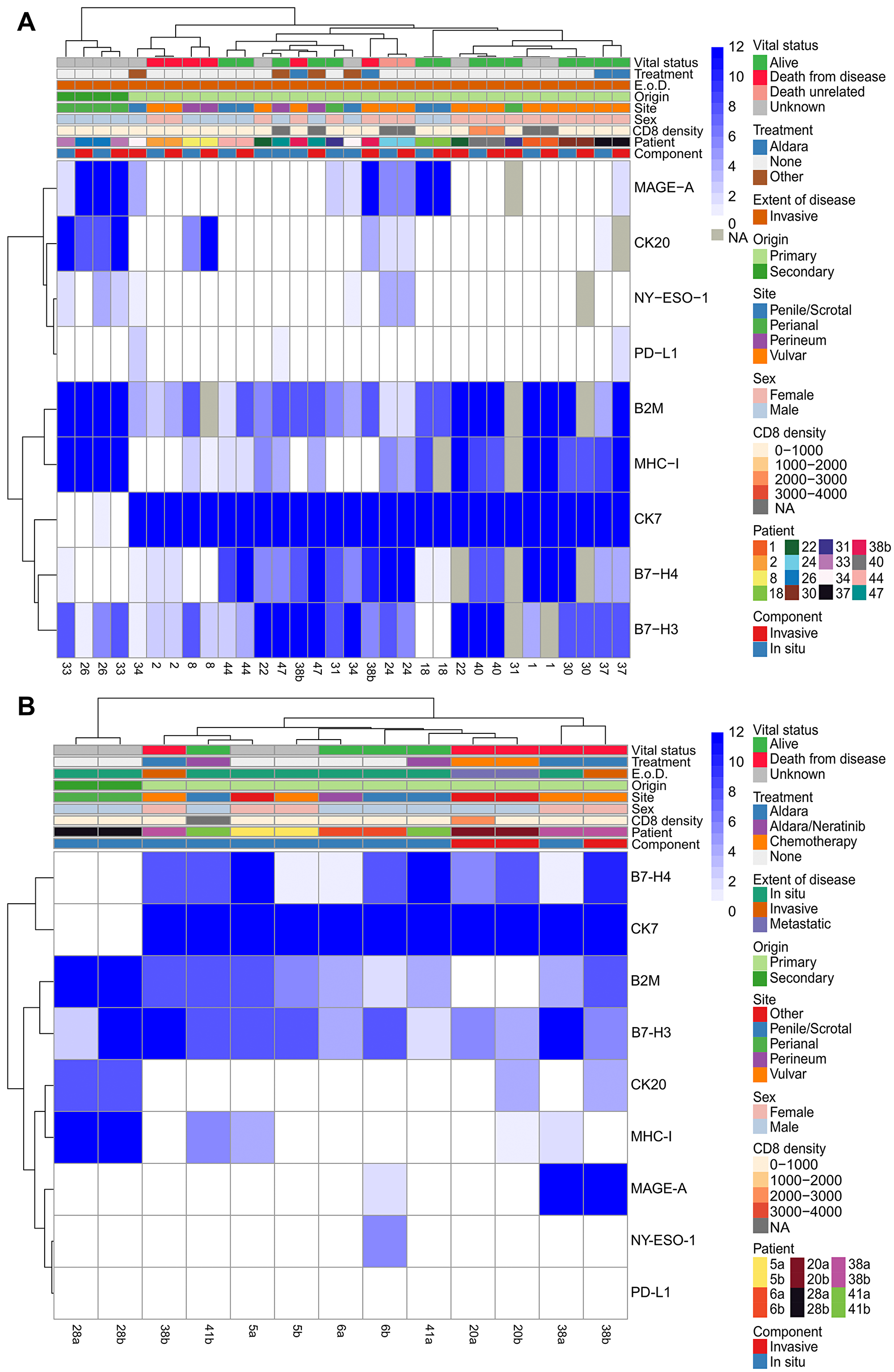 Hierarchical clustering of in situ and invasive components of the same tumor and multiple longitudinal resections