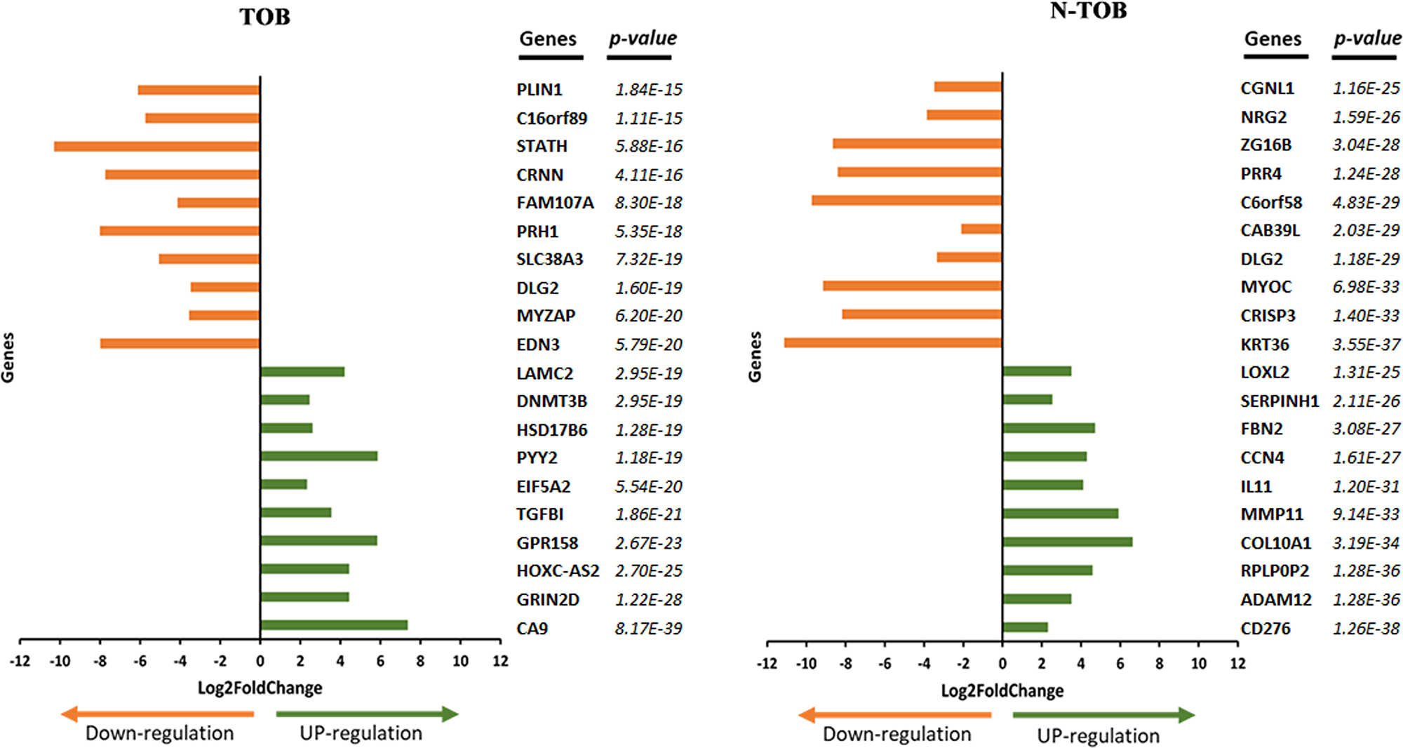 Top 20 DEGs identified in TOB and N-TOB tumors