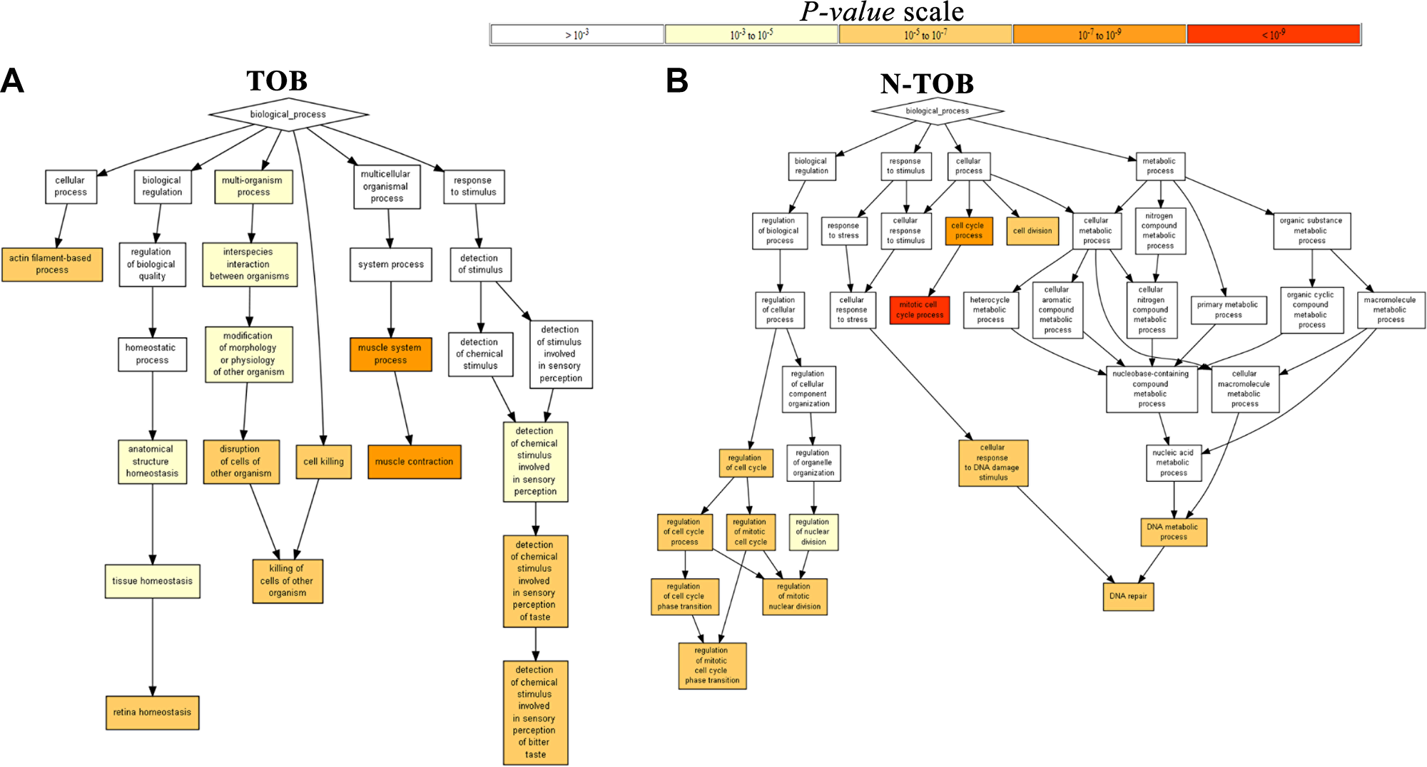 Gene Ontology Enrichment Analysis Results