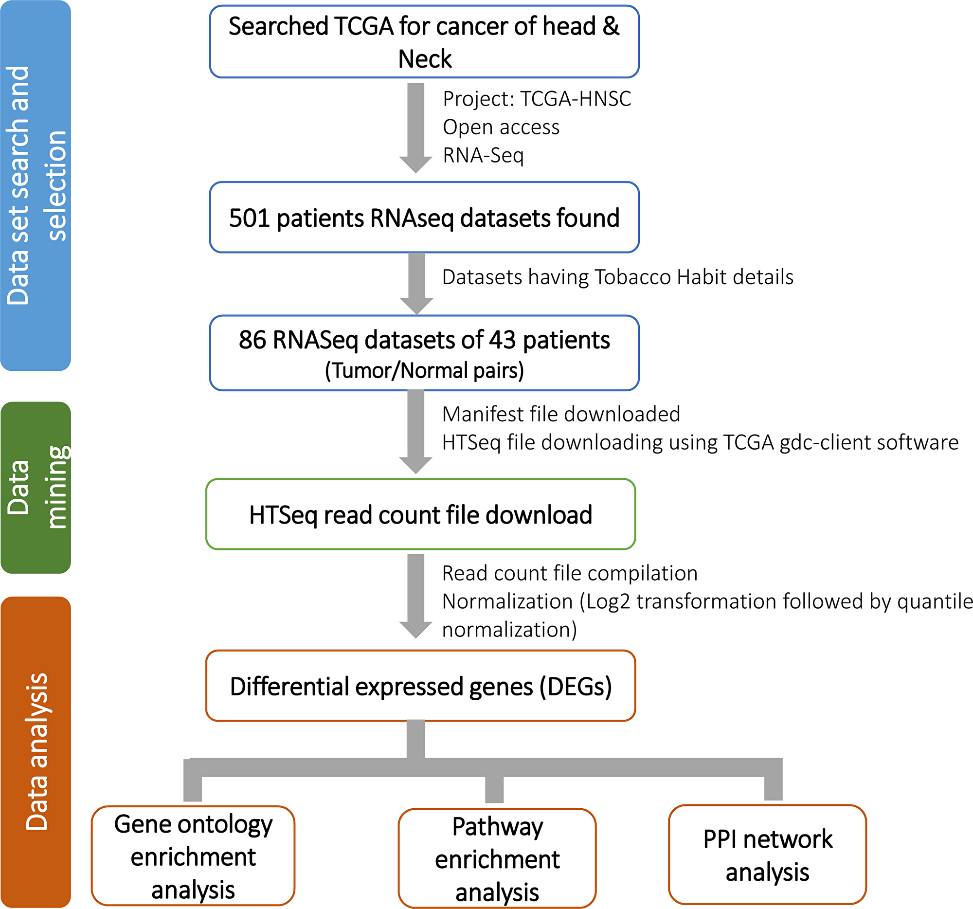 Detail workflow of the study