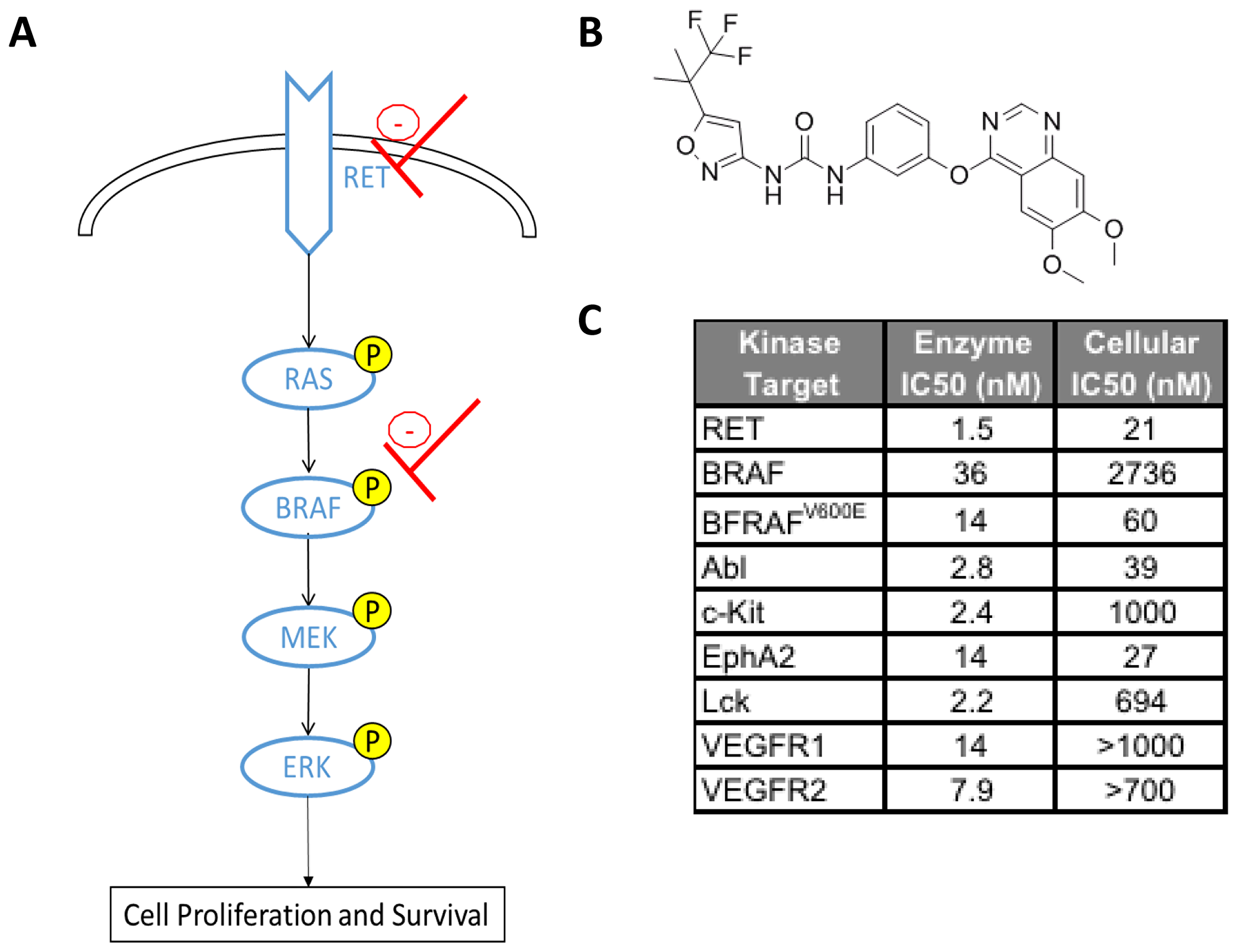 (A) The RET, RAS-RAF-MAPK pathway with sites of RXDX-105 inhibition in red. (B) RXDX-105 (CEP-32496) structure. (C) RXDX-105 inhibition of potential target kinases (adapted from [17]).