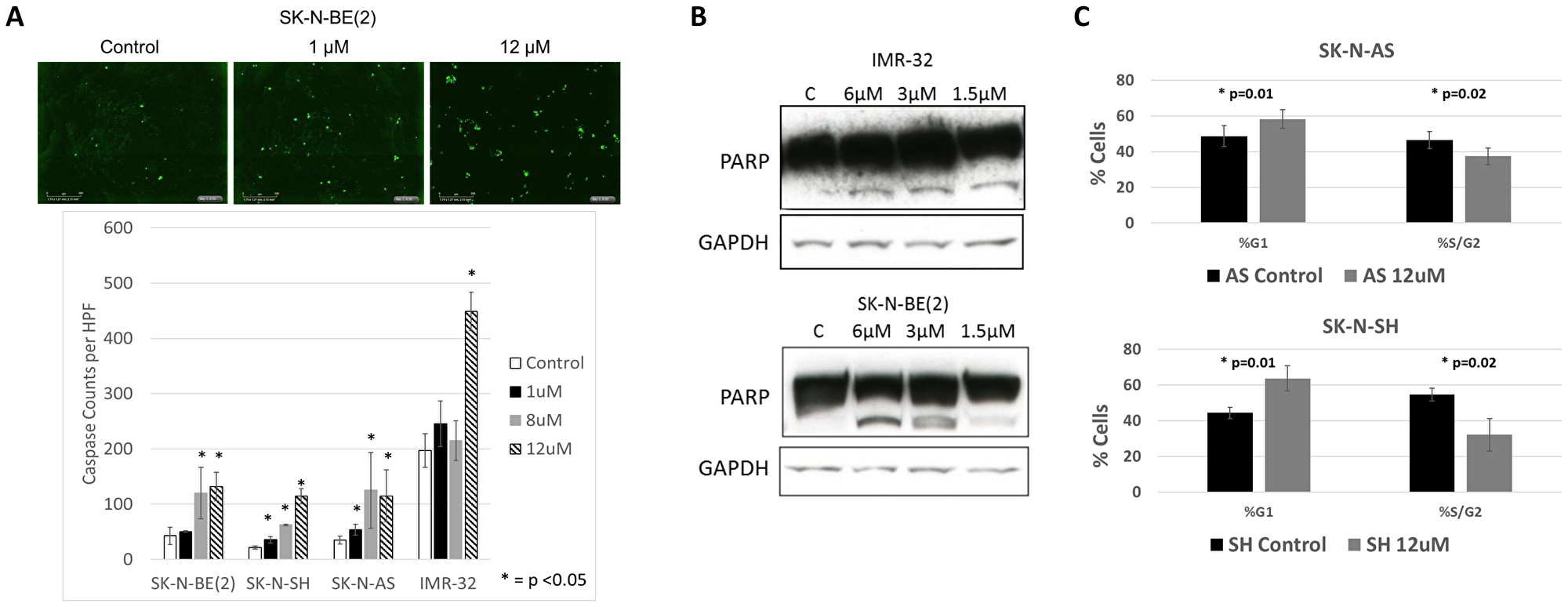 RXDX-105 induces neuroblastoma cell apoptosis and cell cycle arrest