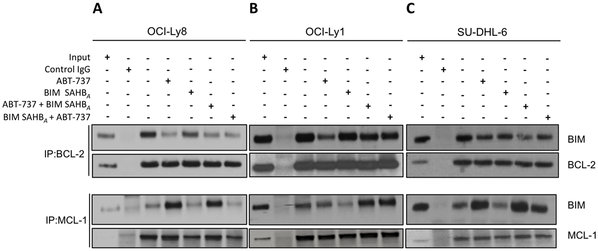 BIM SAHBA preferentially targets MCL-1 over BCL-2 in ABT-737-sensitive DLBCL