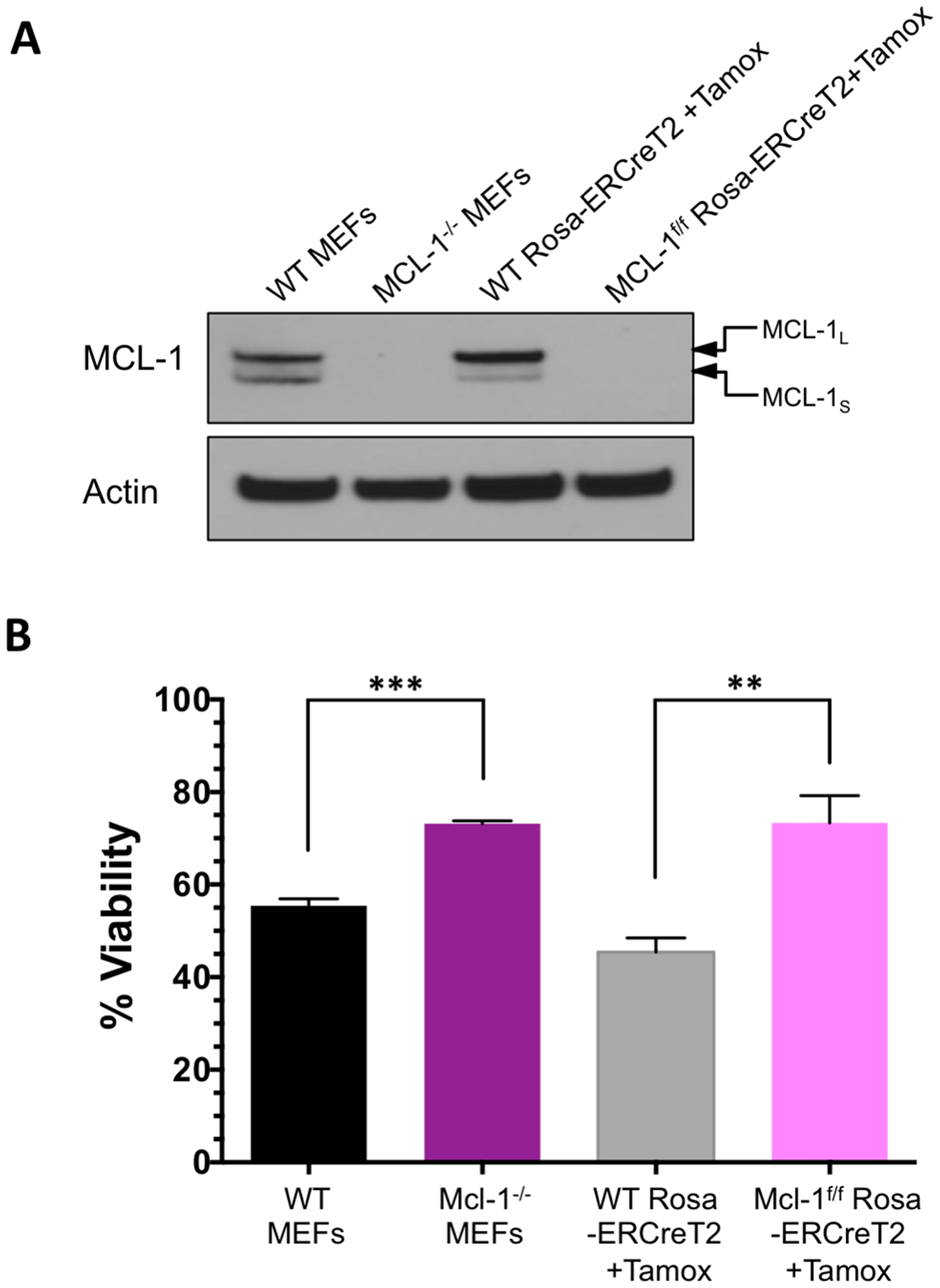 Absence of MCL-1 leads to resistance against BIM SAHBA-induced apoptosis