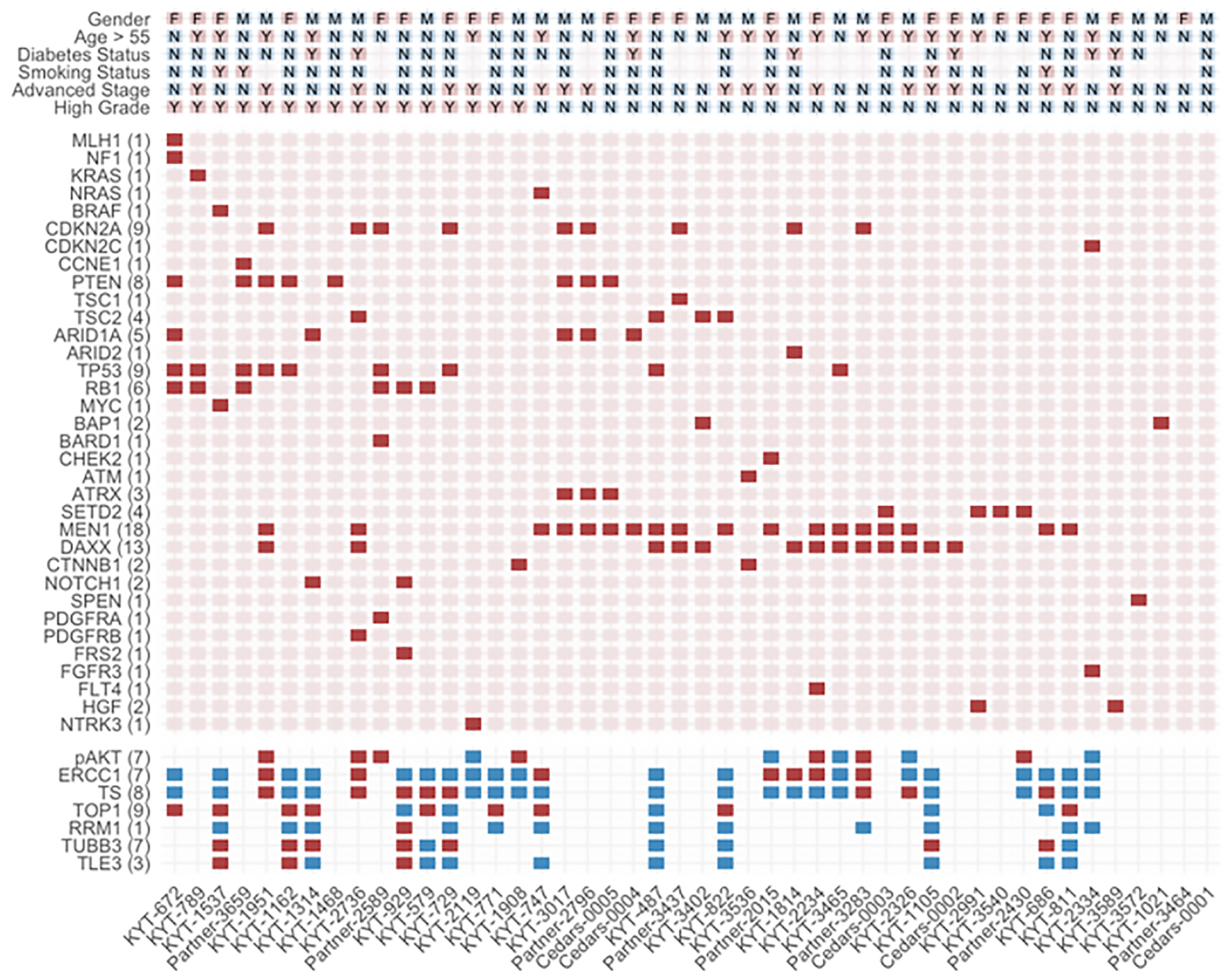 Heatmap illustrating subgroup associations across clinicopathologic variables using hierarchical clustering
