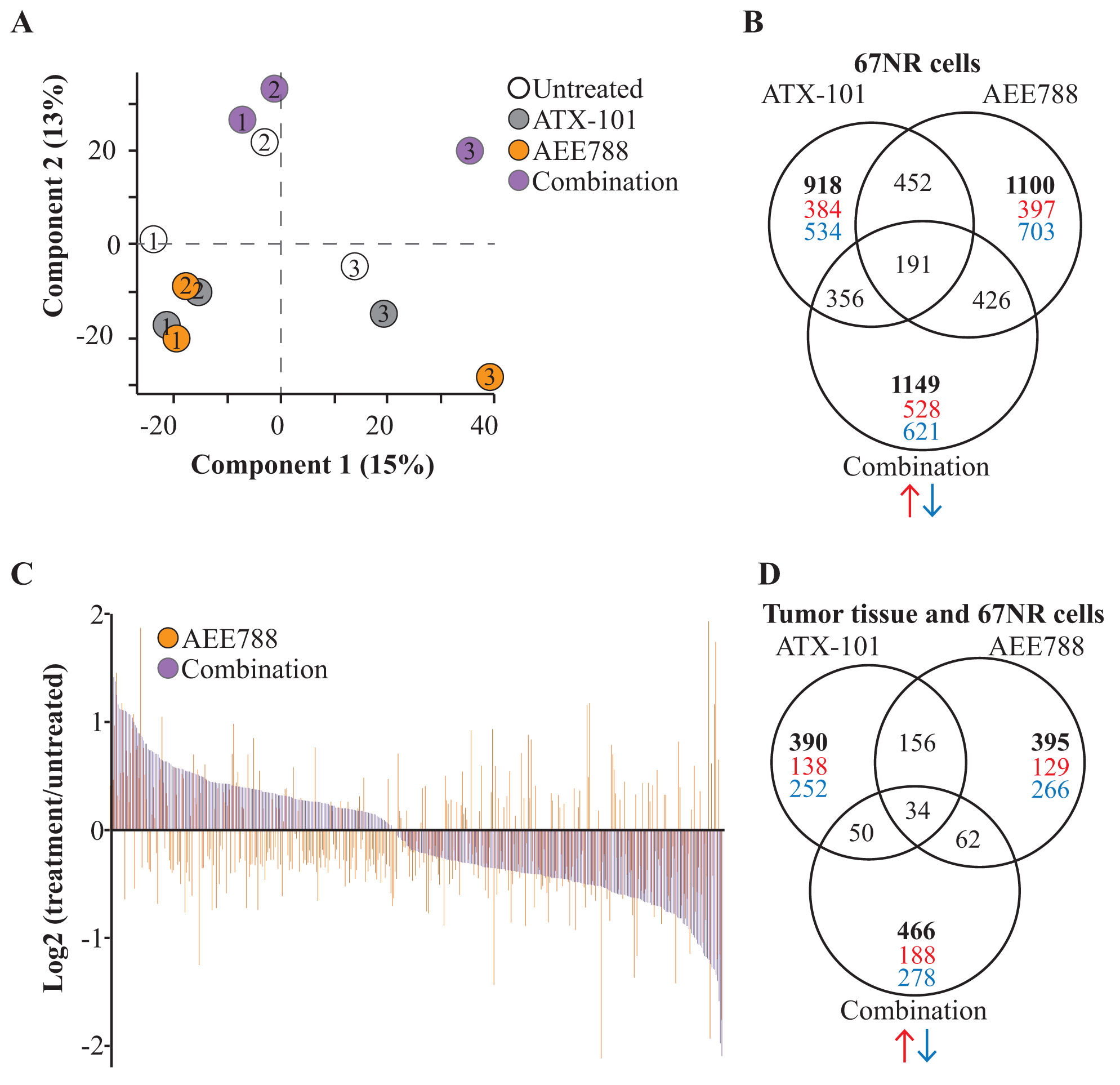 AEE788/ATX-101 combination alters cellular signaling compared to single agent treatments