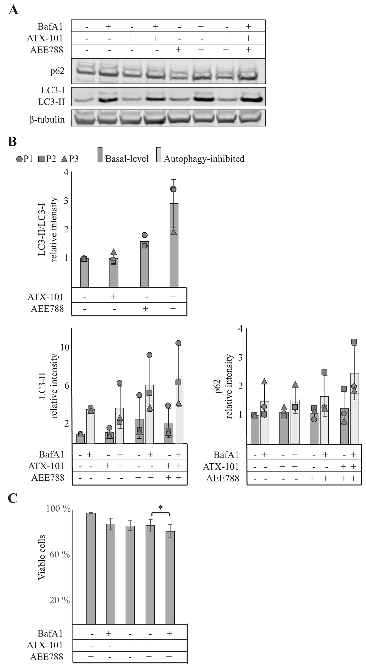 Combining ATX-101 with AEE788 treatment enhances autophagy