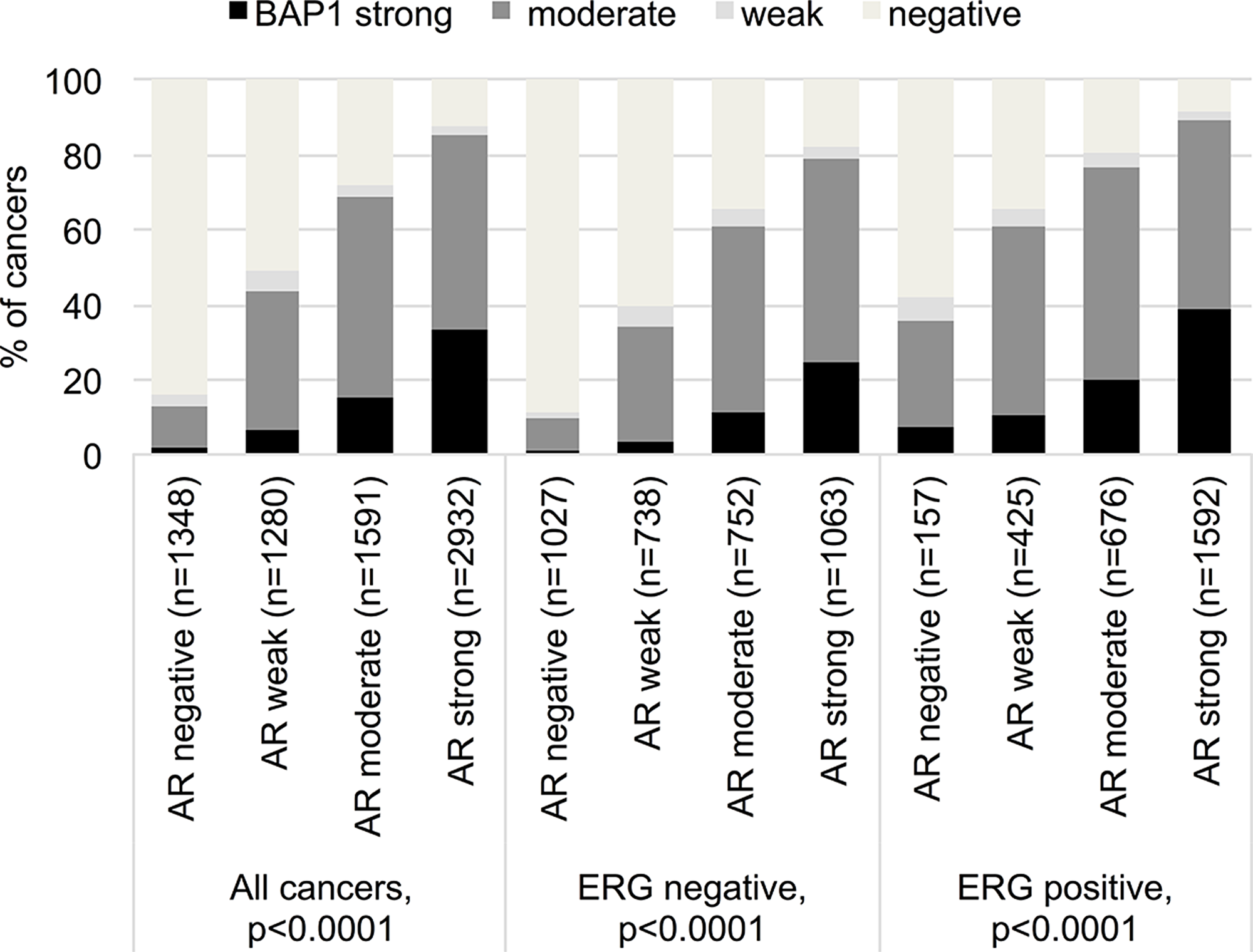 Correlation between BAP1 staining and androgen receptor expression in all cancers, the ERG expression negative and positive subset (IHC)