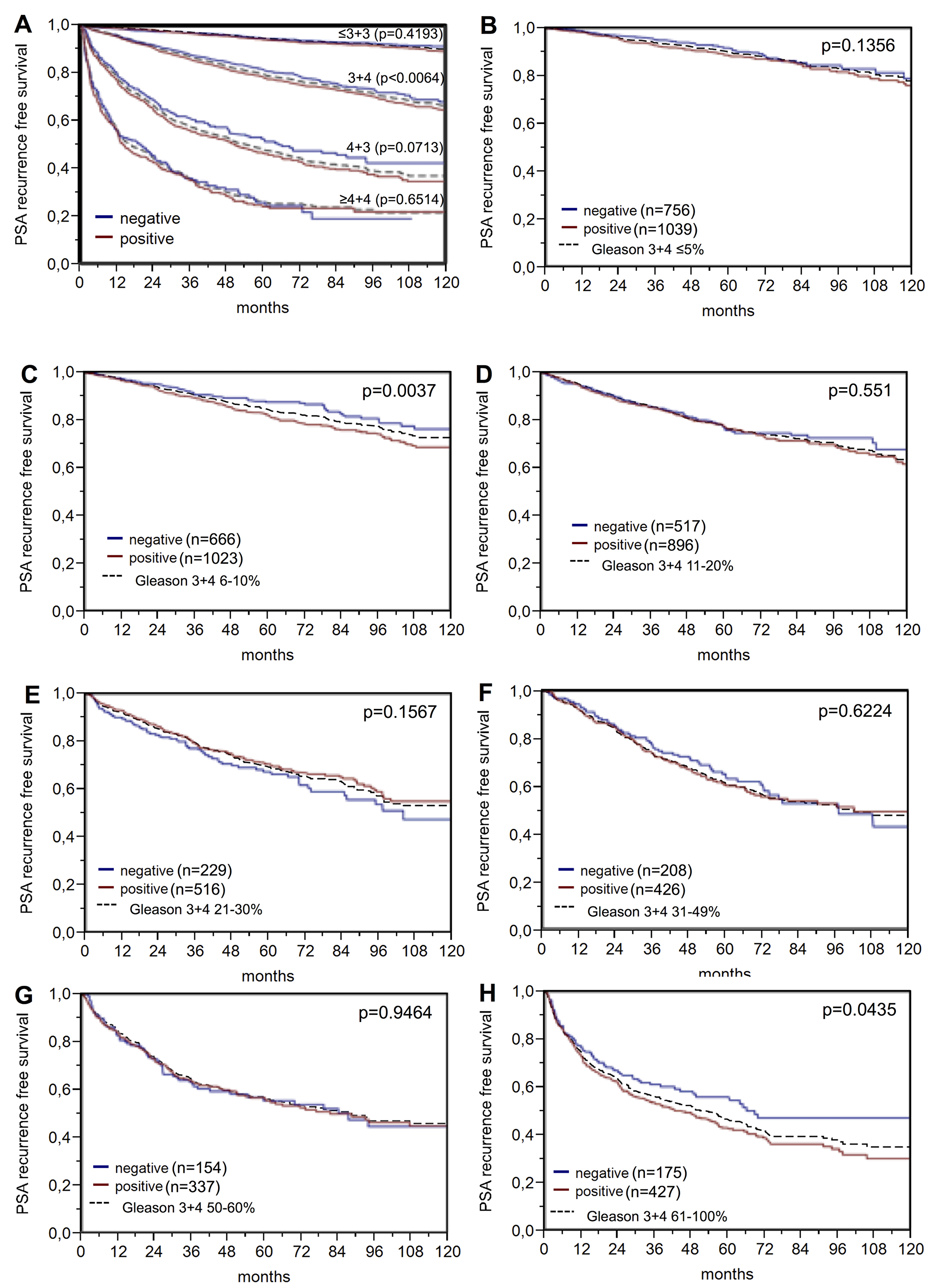 PSA recurrence-free survival after prostatectomy and BAP1 negative versus positive expression in subsets of the ERG expression negative cohort defined by (A) the classical Gleason score categories and (B–H) the quantitative Gleason score grades defined by the percentage of (B) ≤5%, (C) 6-10%, (D) 11-20%, (E) 21-30%, (F) 31-49 %, (G) 50-60%, and (H) ≥61% Gleason 4 patterns. Dashed line shows the combined result of the respective Gleason category for reference.