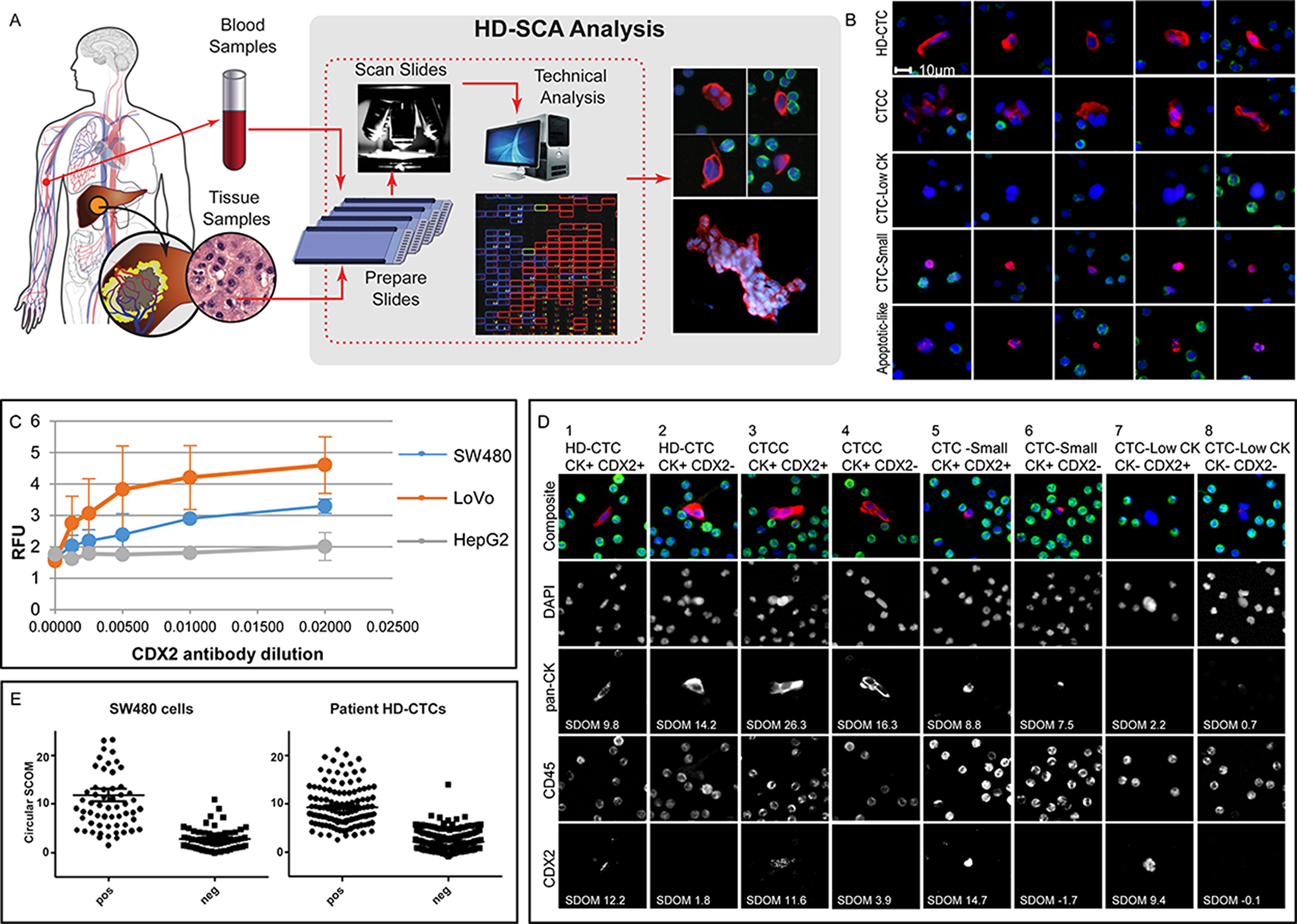 HD-SCA sample processing and CRC analysis overview