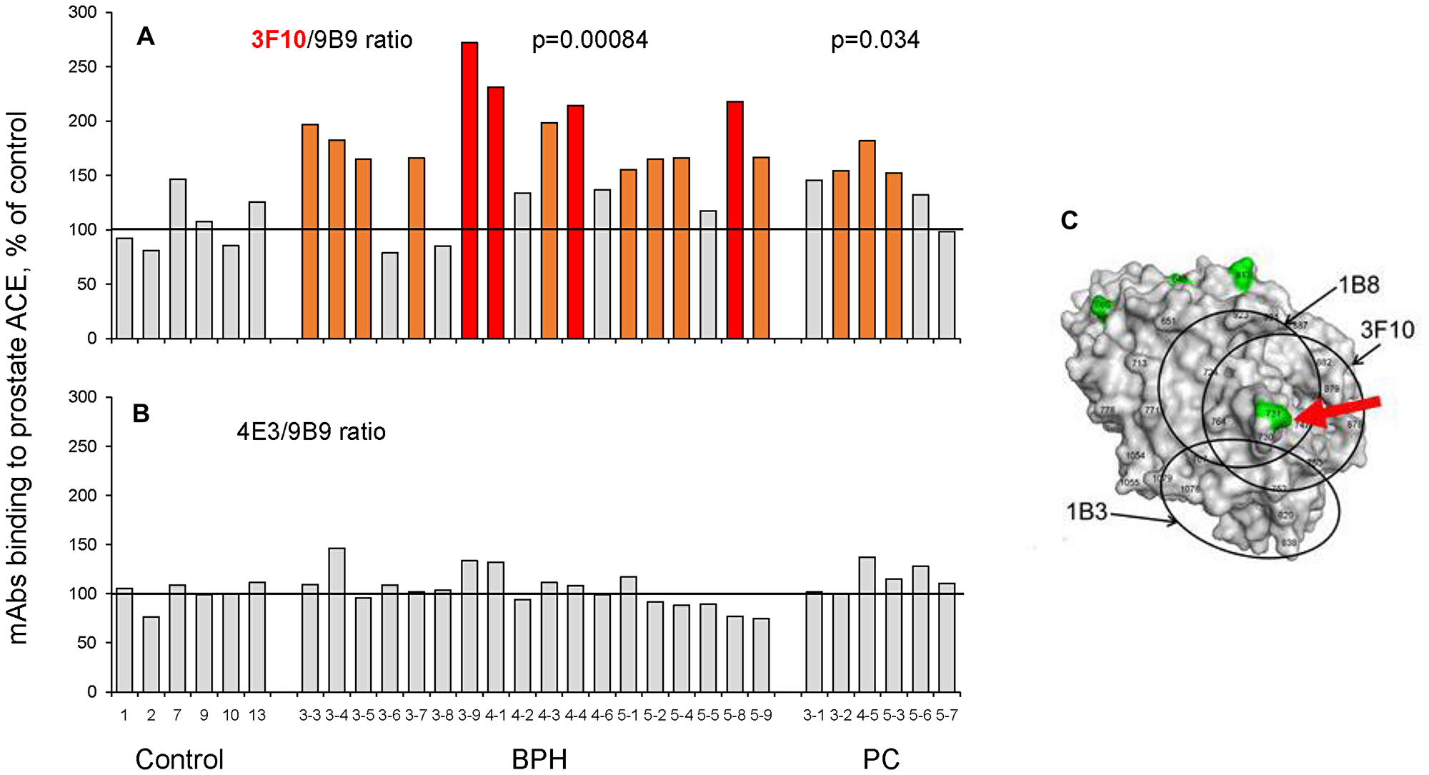 ACE conformational fingerprinting in biopsies from prostate tissues