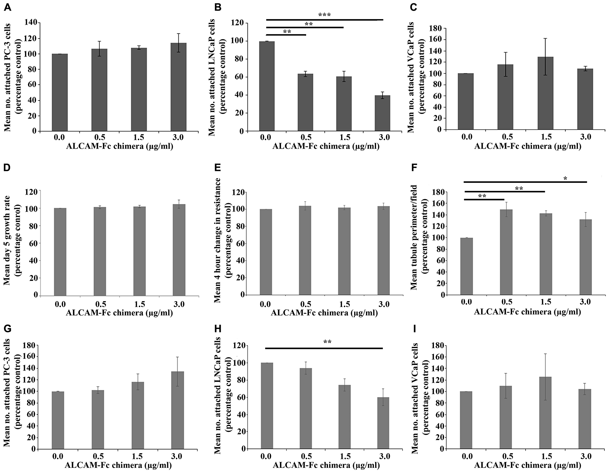 Impact of ALCAM-Fc chimera on cancer cell attachment and endothelial cell function