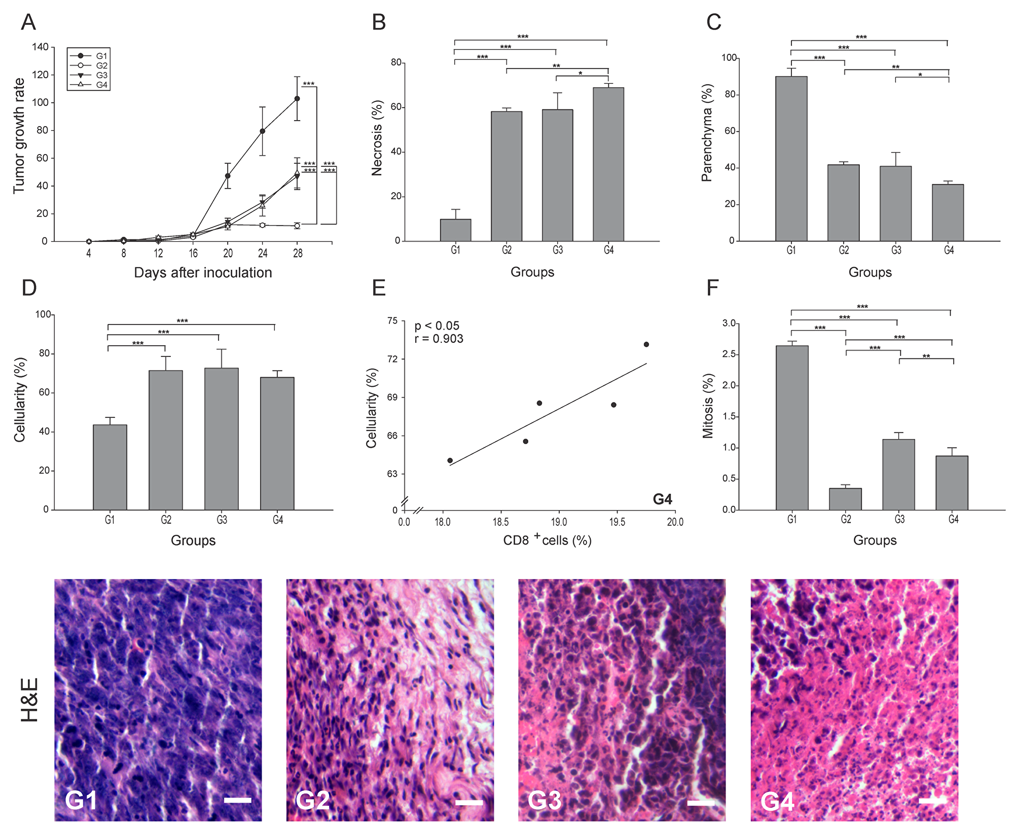 ConvitVax/anti-PD-1 combined treatment enhances tumor elimination without tumor arrest improvement in 4T1 tumors