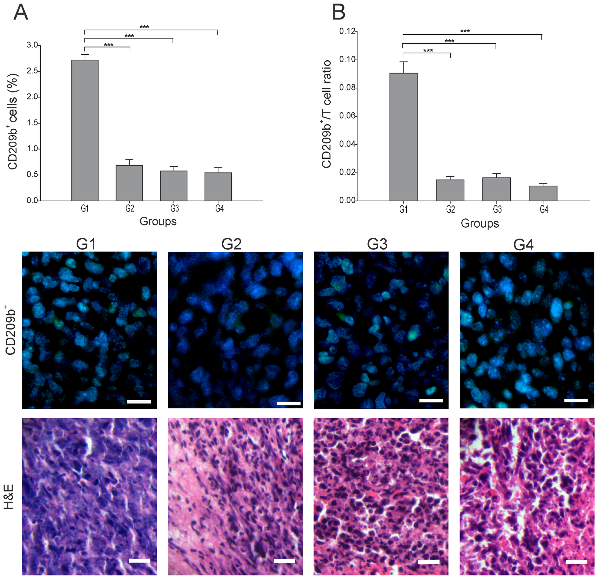 Effect of each treatment over APCs infiltration