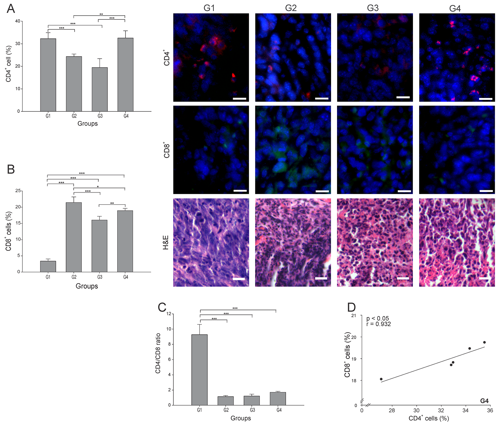 ConvitVax/anti-PD-1 combined treatment promotes CD8+ T cells infiltration and possible prevalence of CD4+ Th1 cells