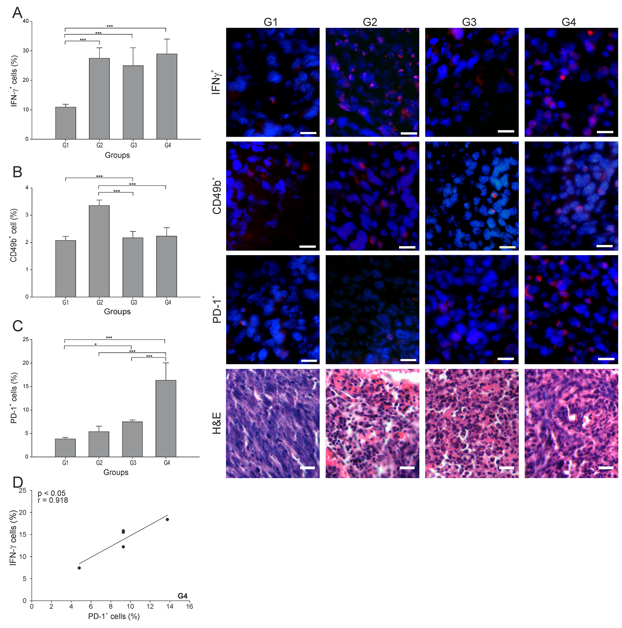 ConvitVax/anti-PD-1 combined treatment induces a marked PD-1+ cells infiltration in 4T1 tumors