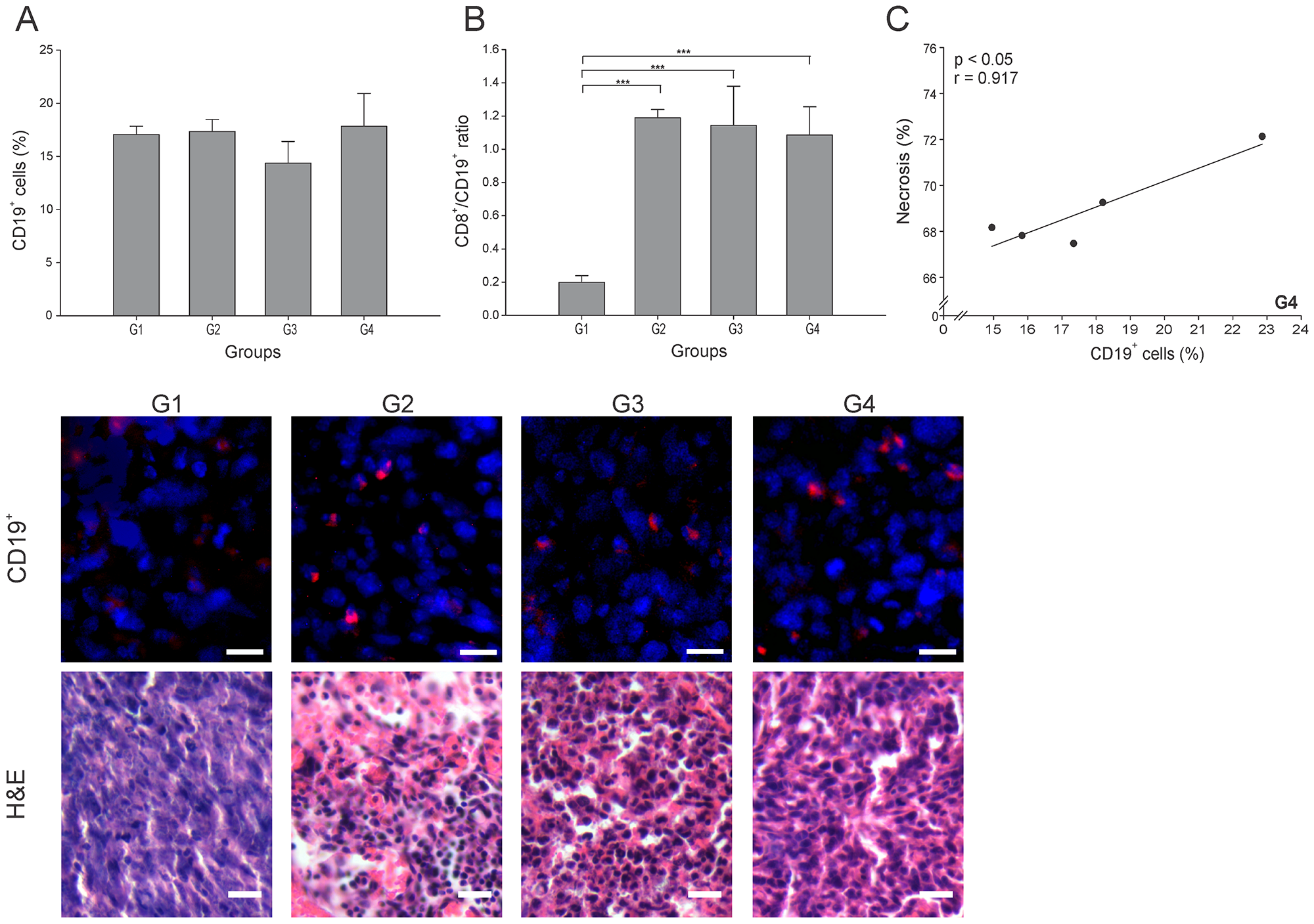 ConvitVax/anti-PD-1 combined treatment effect over B cells