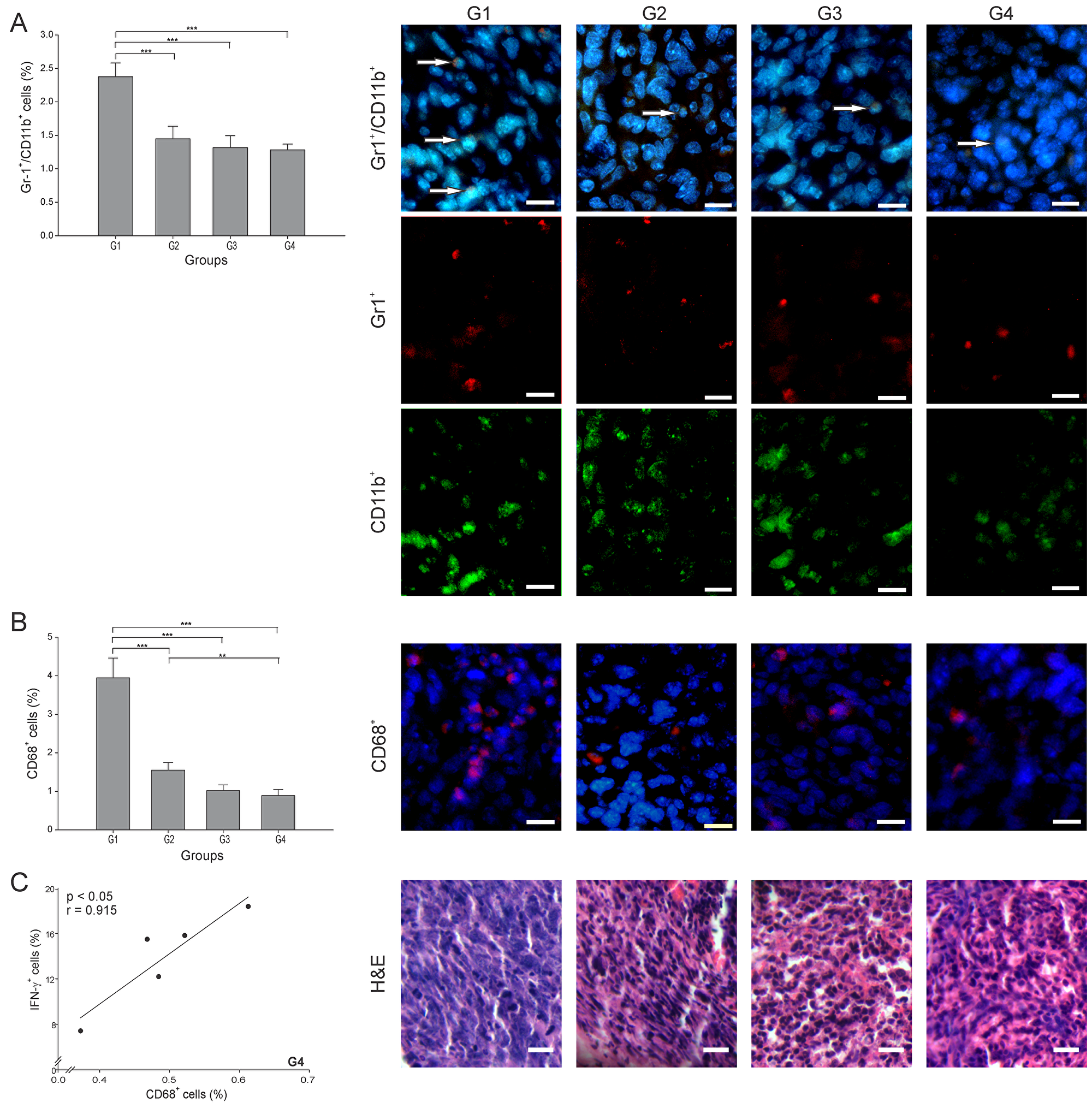 ConvitVax/anti-PD-1 combined treatment reduces TAMs and MDSCs tumor infiltration