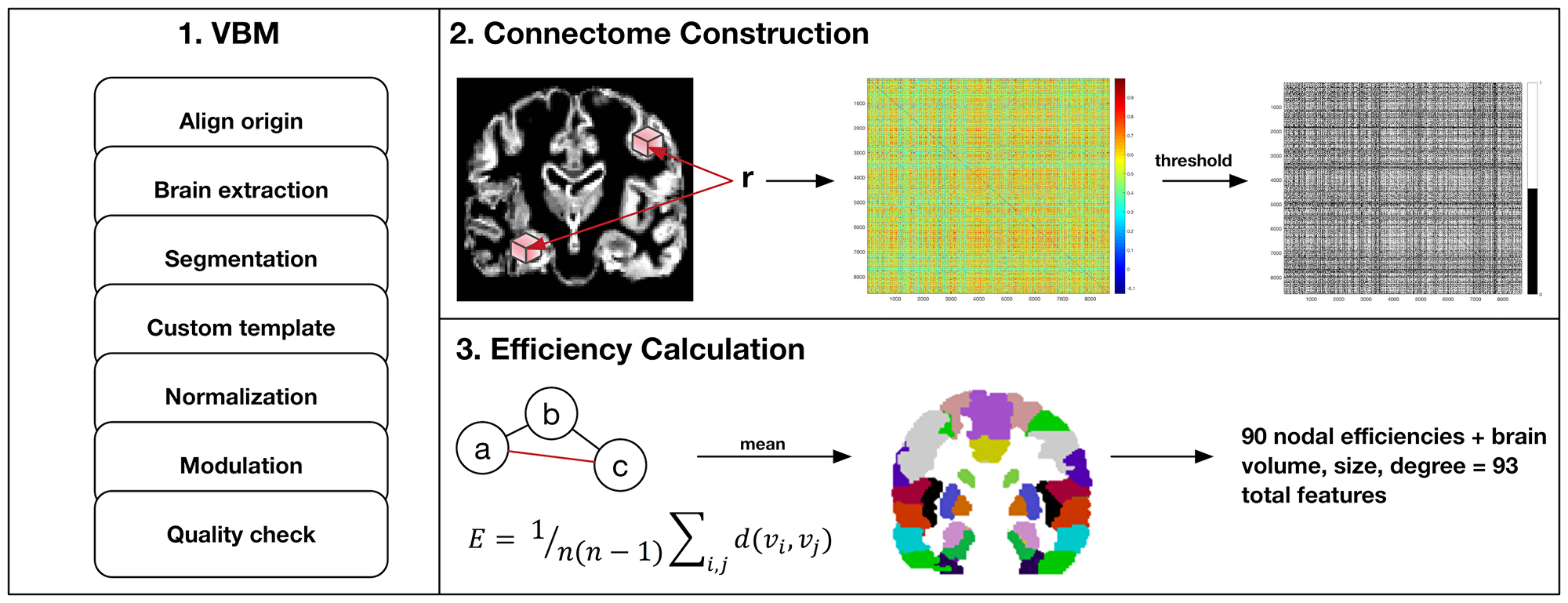 MRI preprocessing and connectome construction steps
