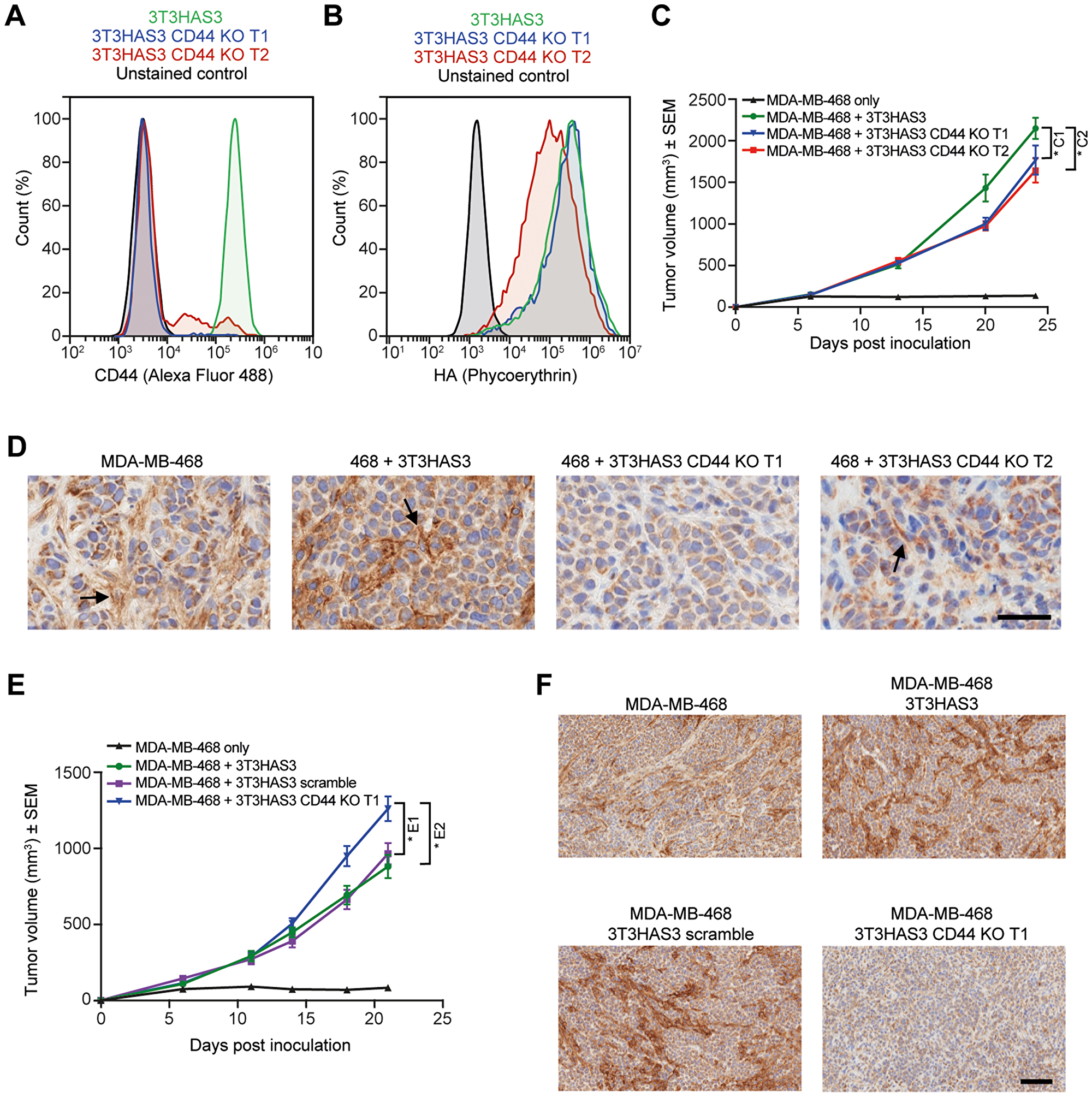 Tumor growth in the breast cancer co-graft model with HA-accumulating stroma was independent of CD44 expression in 3T3HAS3 fibroblast cells