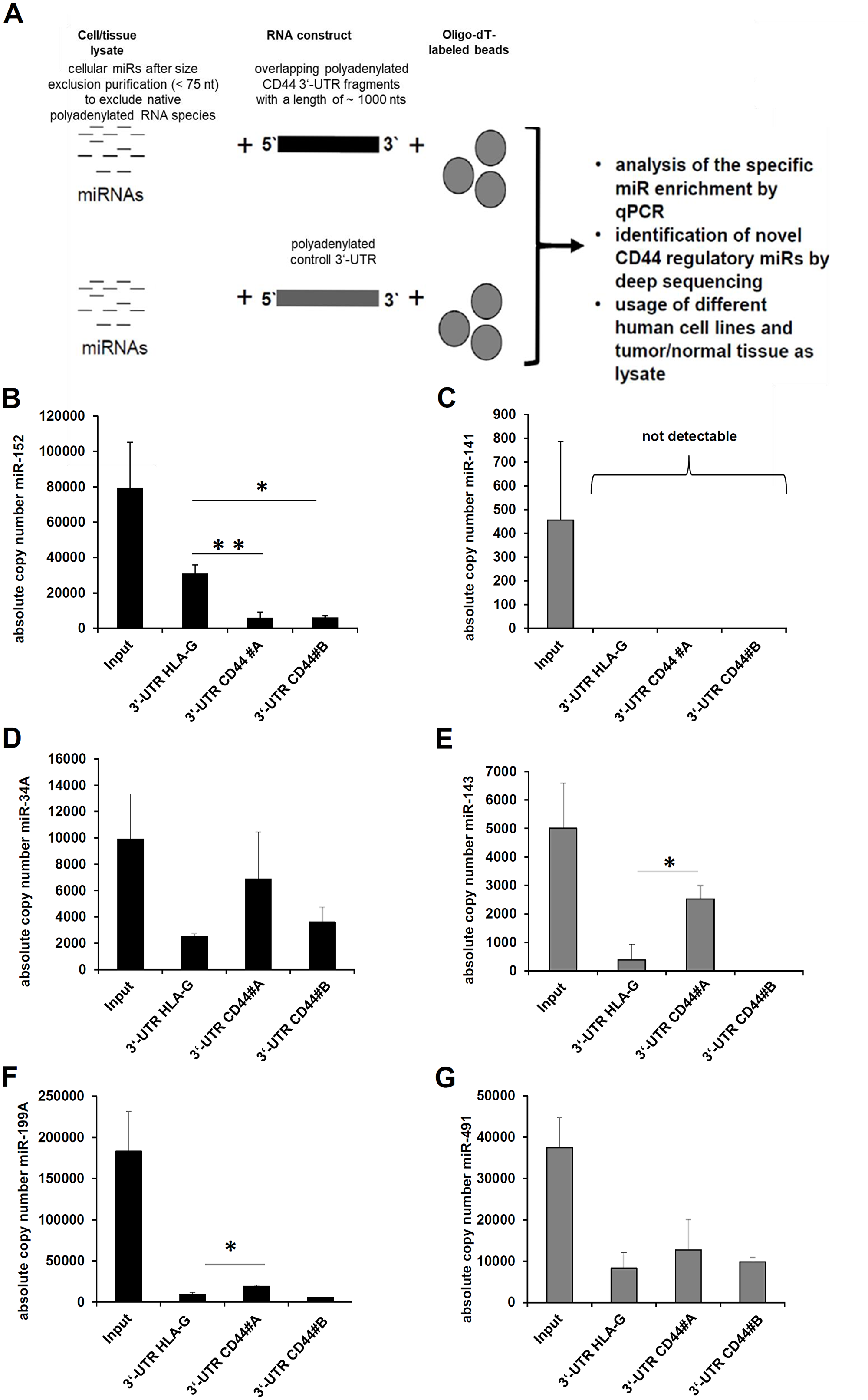 Establishment of a novel affinity based miR enrichment assay