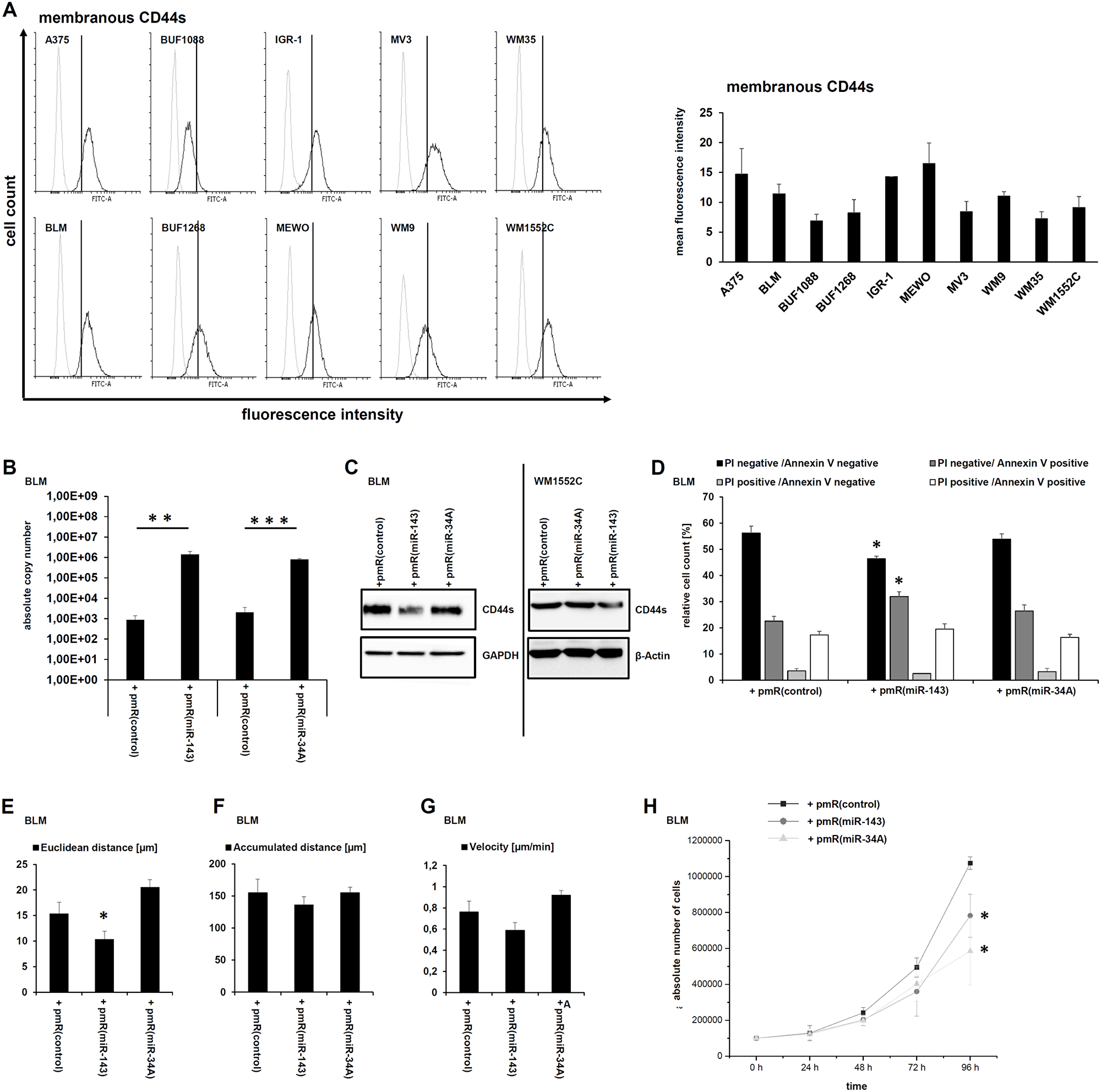 Modulation of tumor biological relevant functions by miR-143-3p-mediated CD44s downregulation