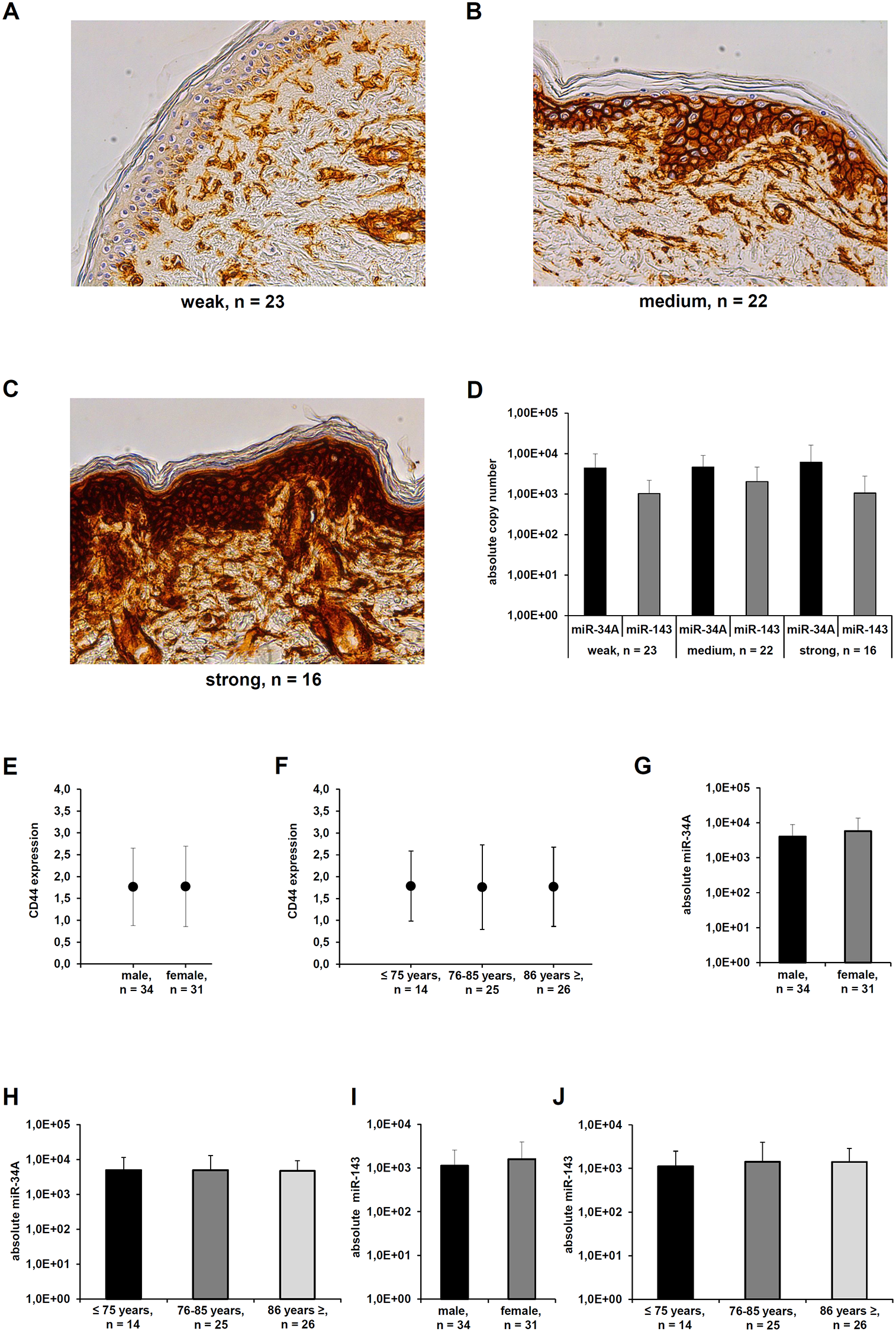 Differential CD44s expression in healthy skin sections