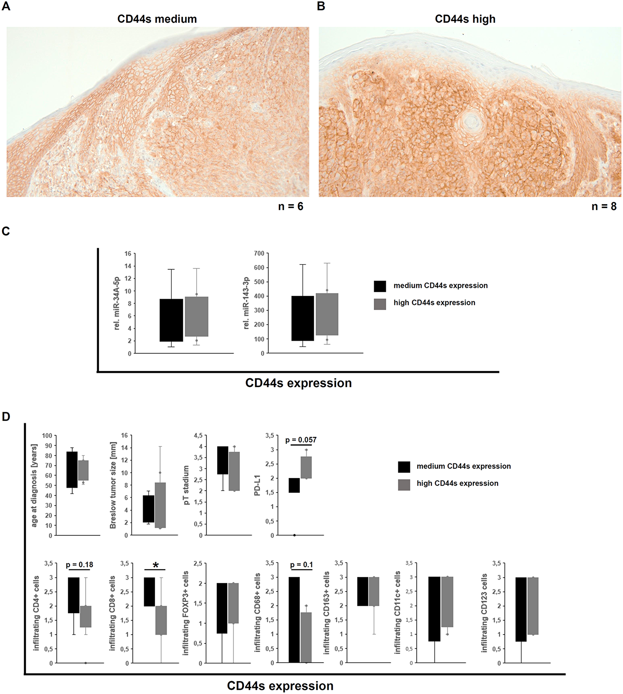 Correlation of the CD44s expression in human malignant melanoma with miR expression and immune cell infiltration and its tumor biological impact