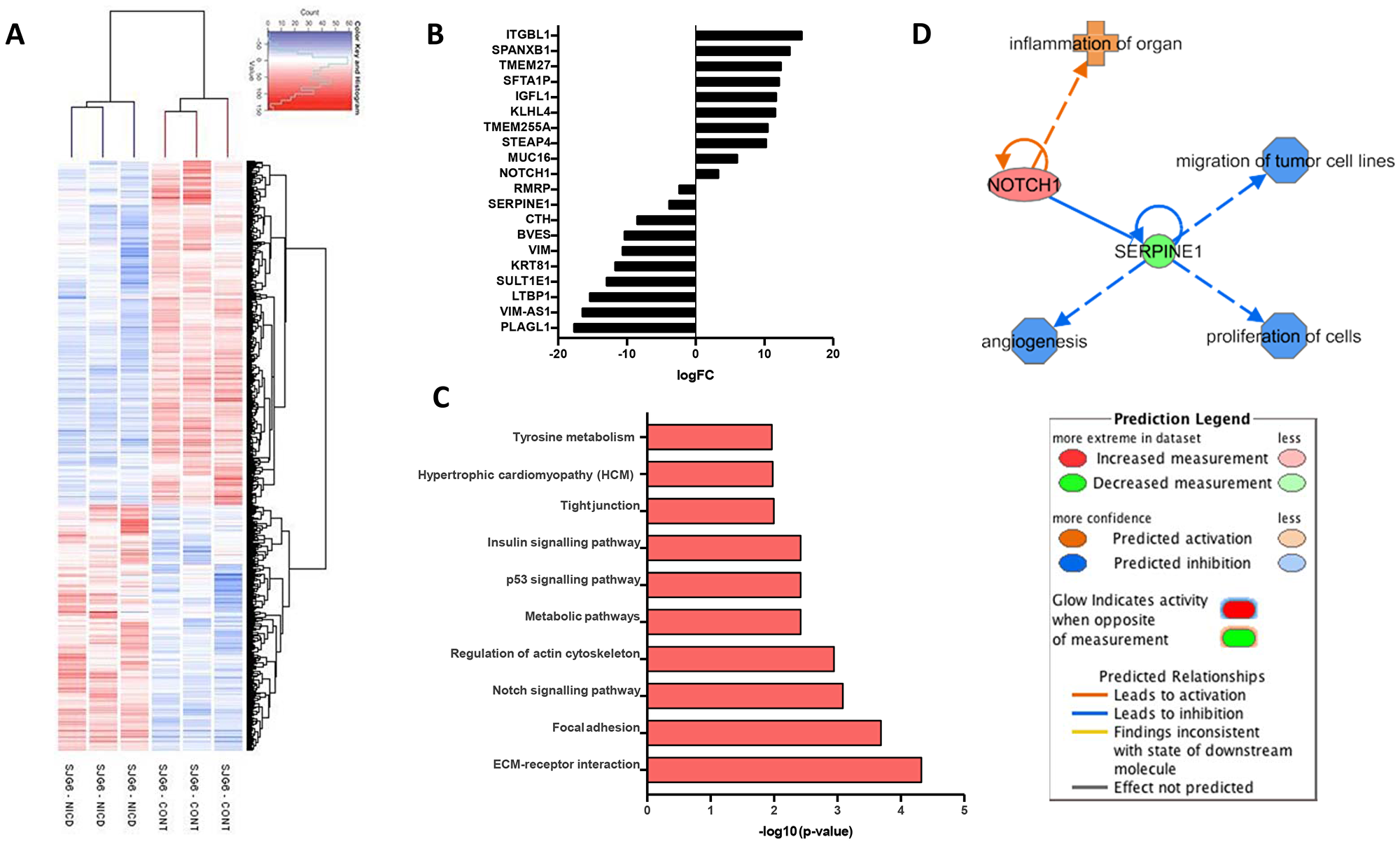 Gene expression profiling of SGJ6 cells transduced with NICD versus control