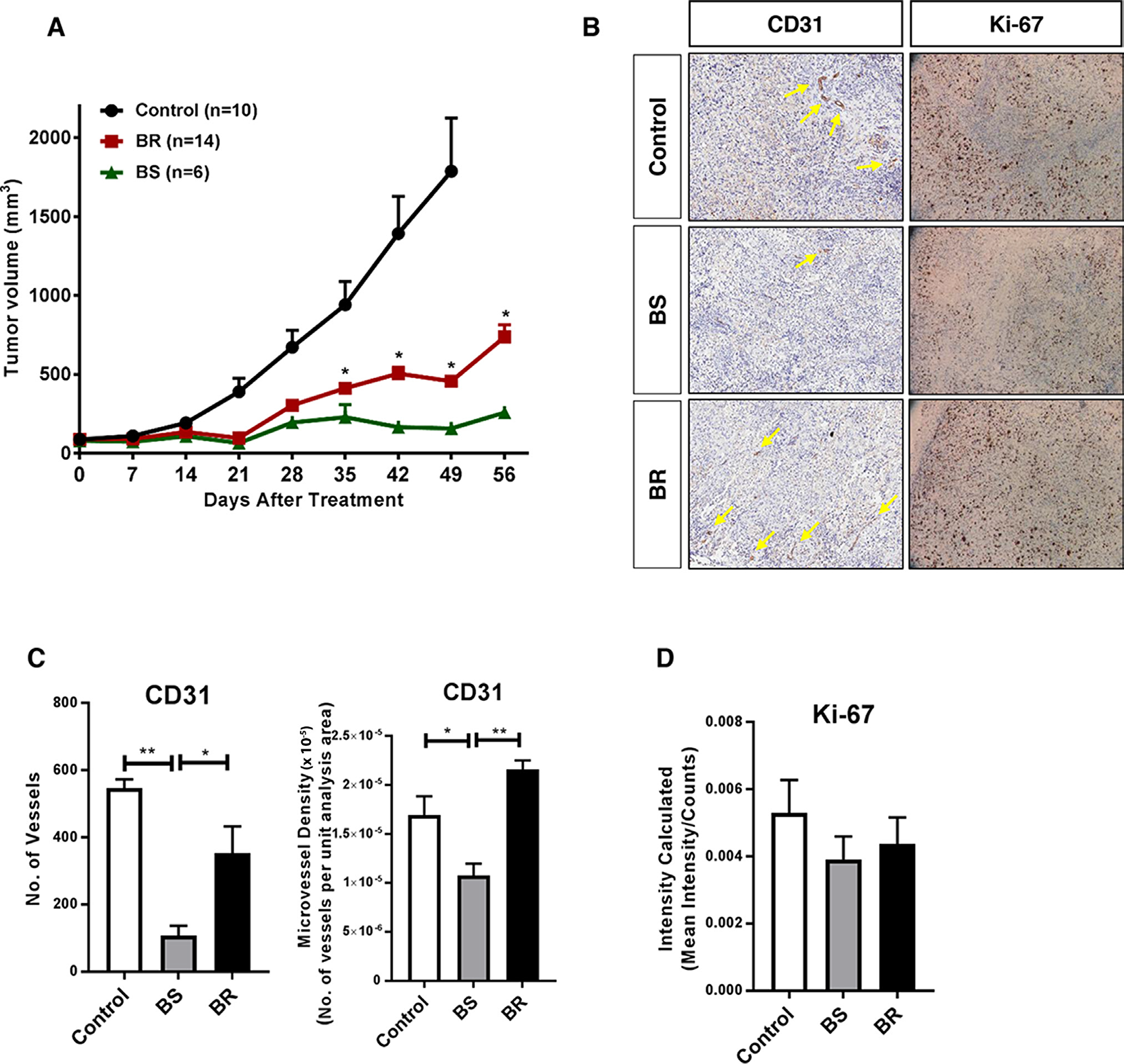 Adaptive resistance to anti-VEGF therapy in a xenograft mouse model of ovarian cancer