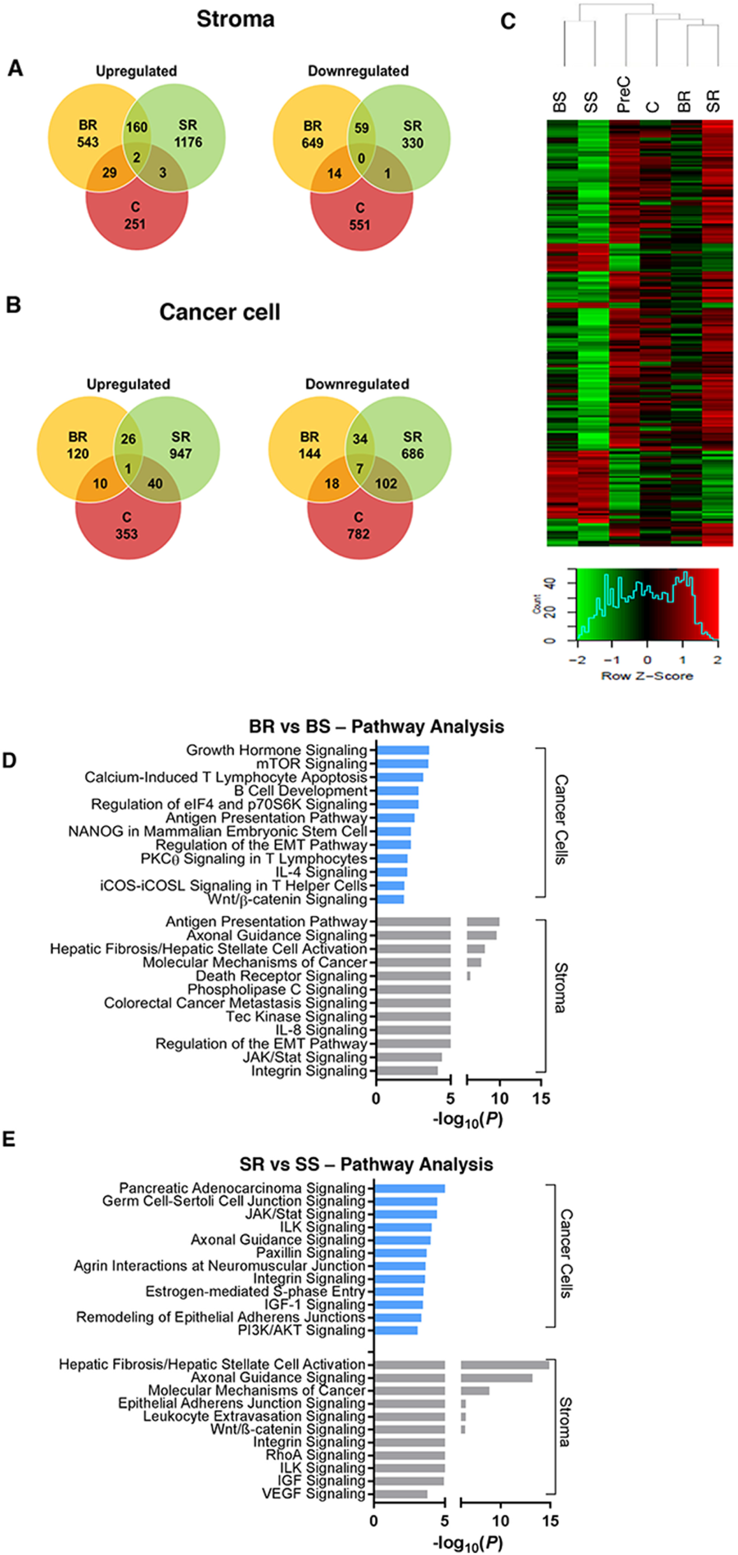 Analysis of gene expression changes in anti-VEGF resistant tumors