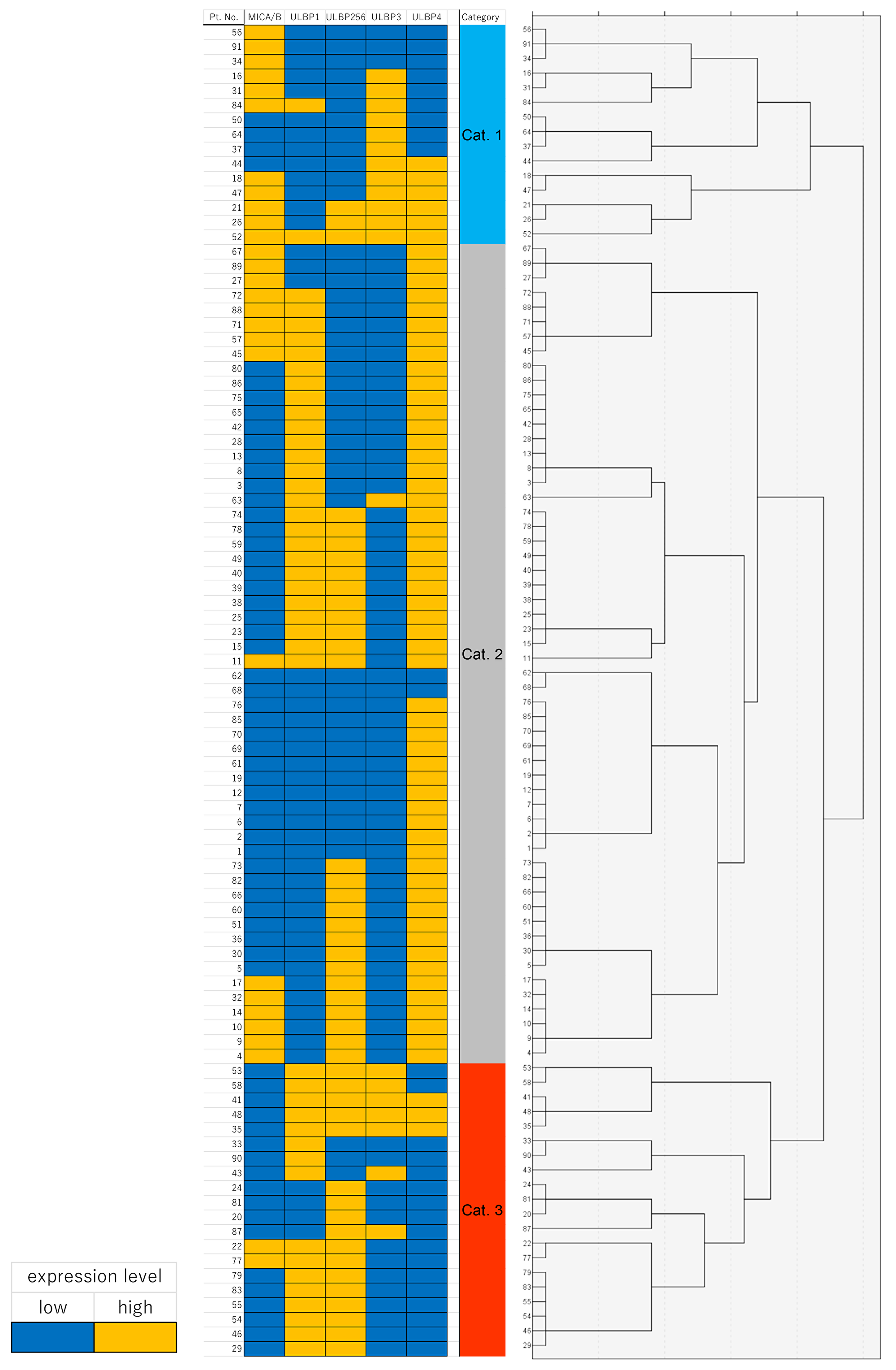 Heat map of immunohistochemical protein expression of MICA/B, ULBP1, ULBP2/5/6, ULBP3, and ULBP4 in the cluster map