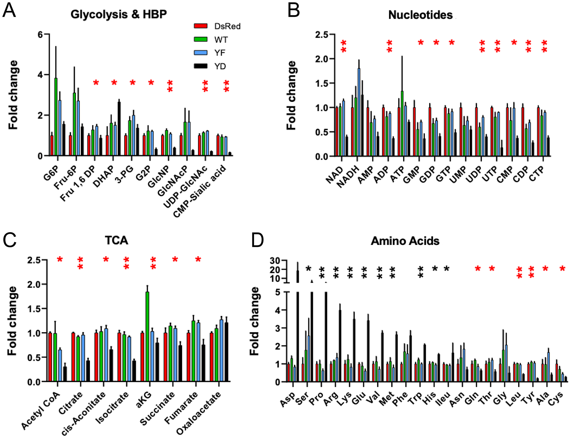 Metabolite profiles are consistent with slow-growth phenotype in Cav1Y14D tumors