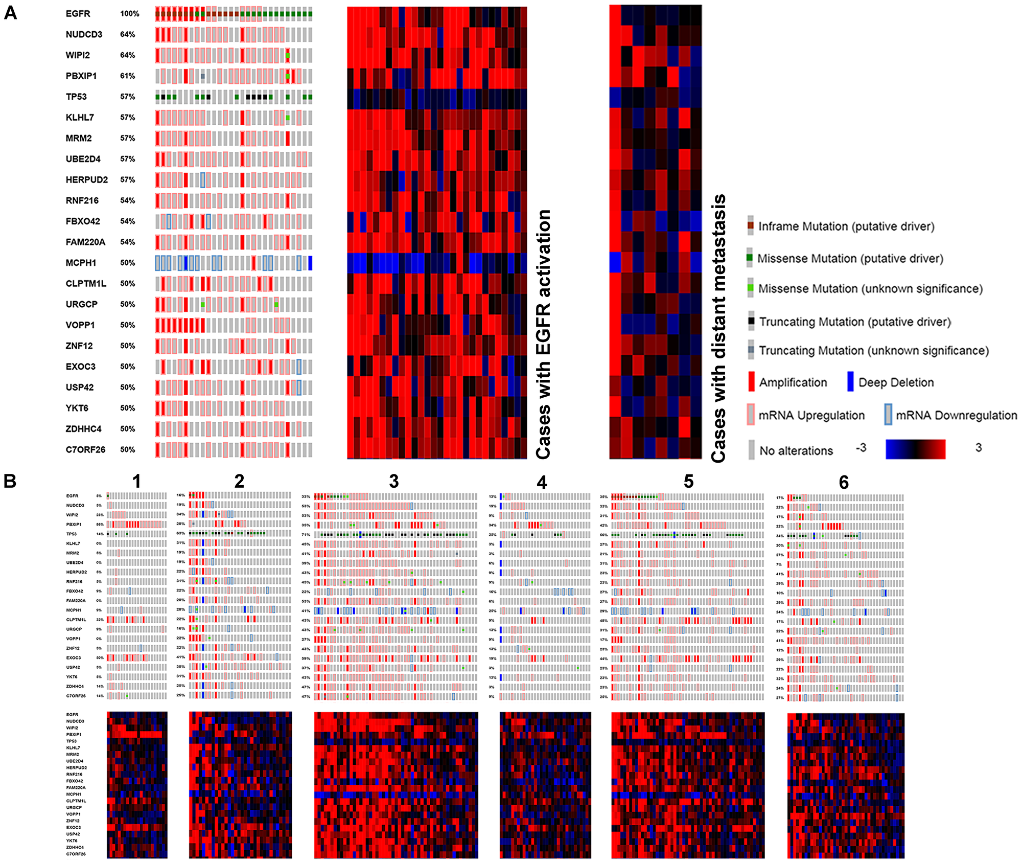 Genes found with genomic and transcriptomic alterations in EGFR activated LUAD, with high frequency