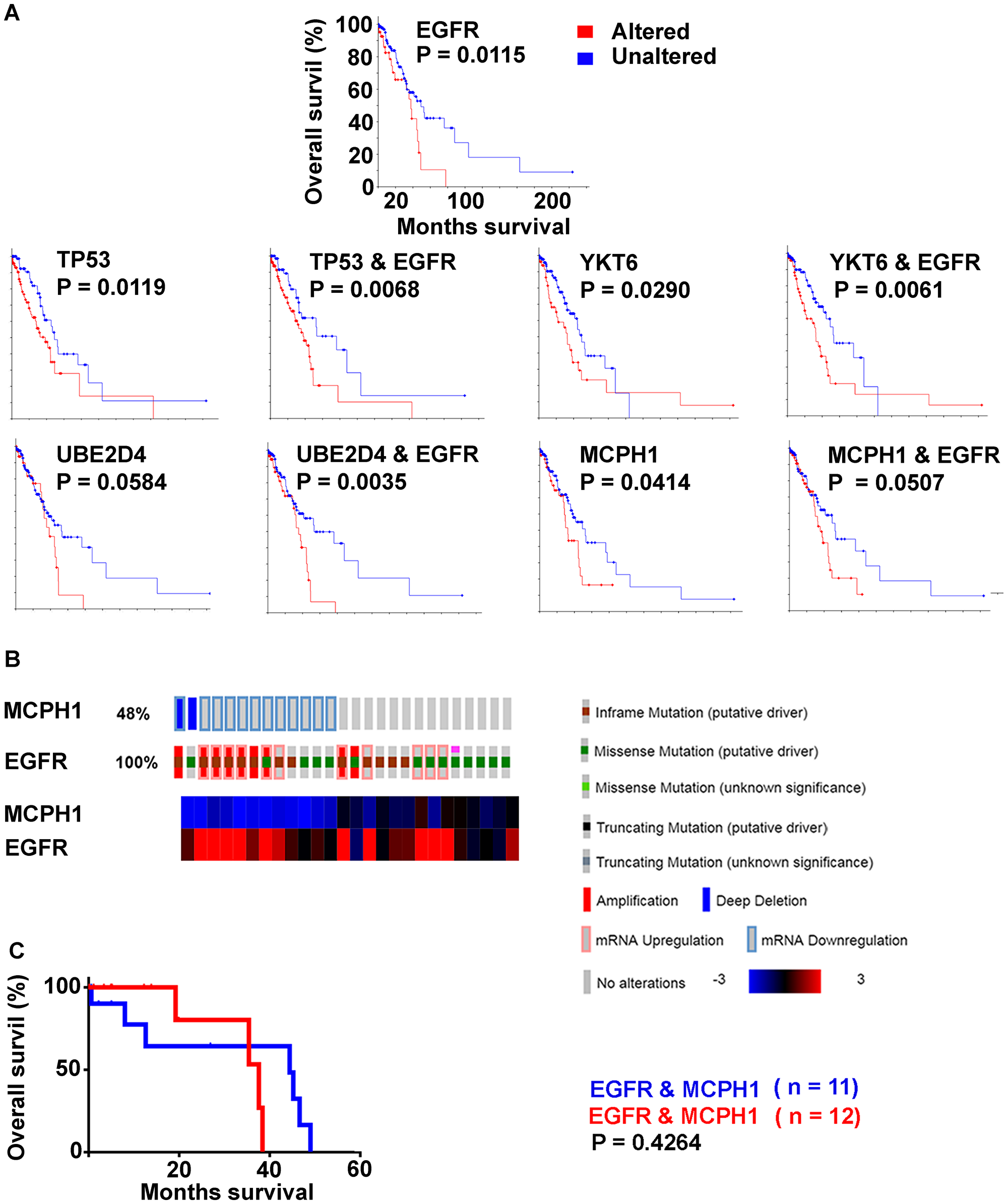Decreased overall survival (Kaplan Meier survival plots, Log rank; LUAD with survival data, n = 197) by genes with high frequency alterations in EGFR activated cases