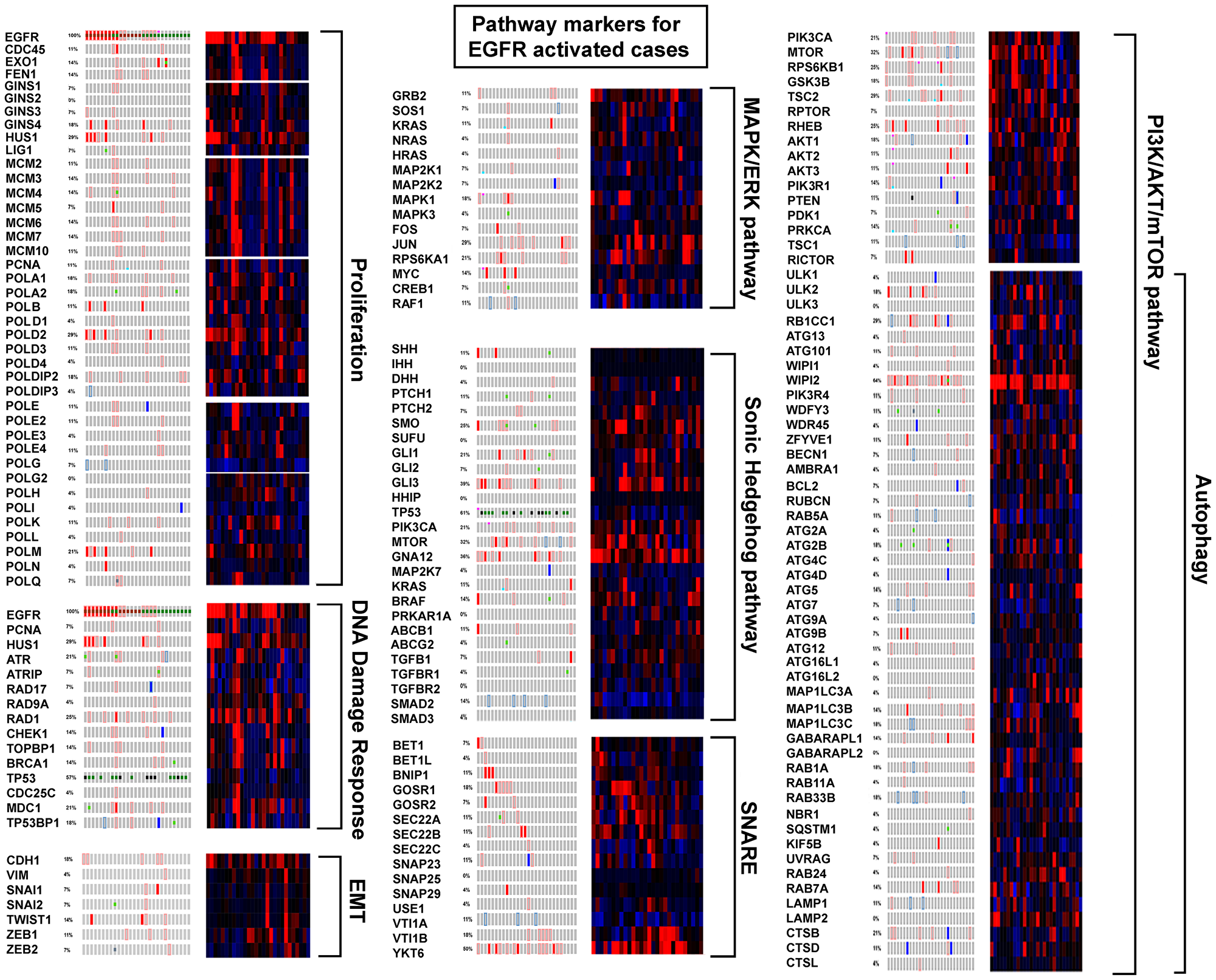 EGFR activated cases compared to pathway markers